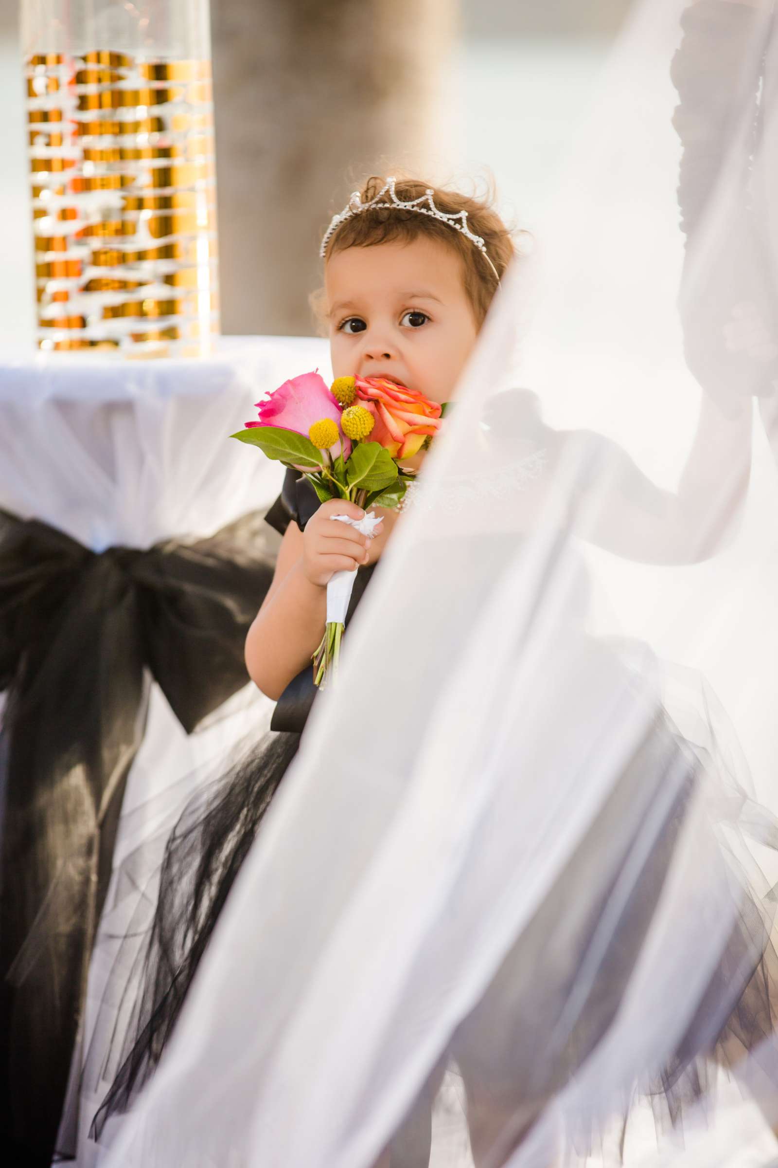 Scripps Seaside Forum Wedding, Callie and Robert Wedding Photo #264104 by True Photography