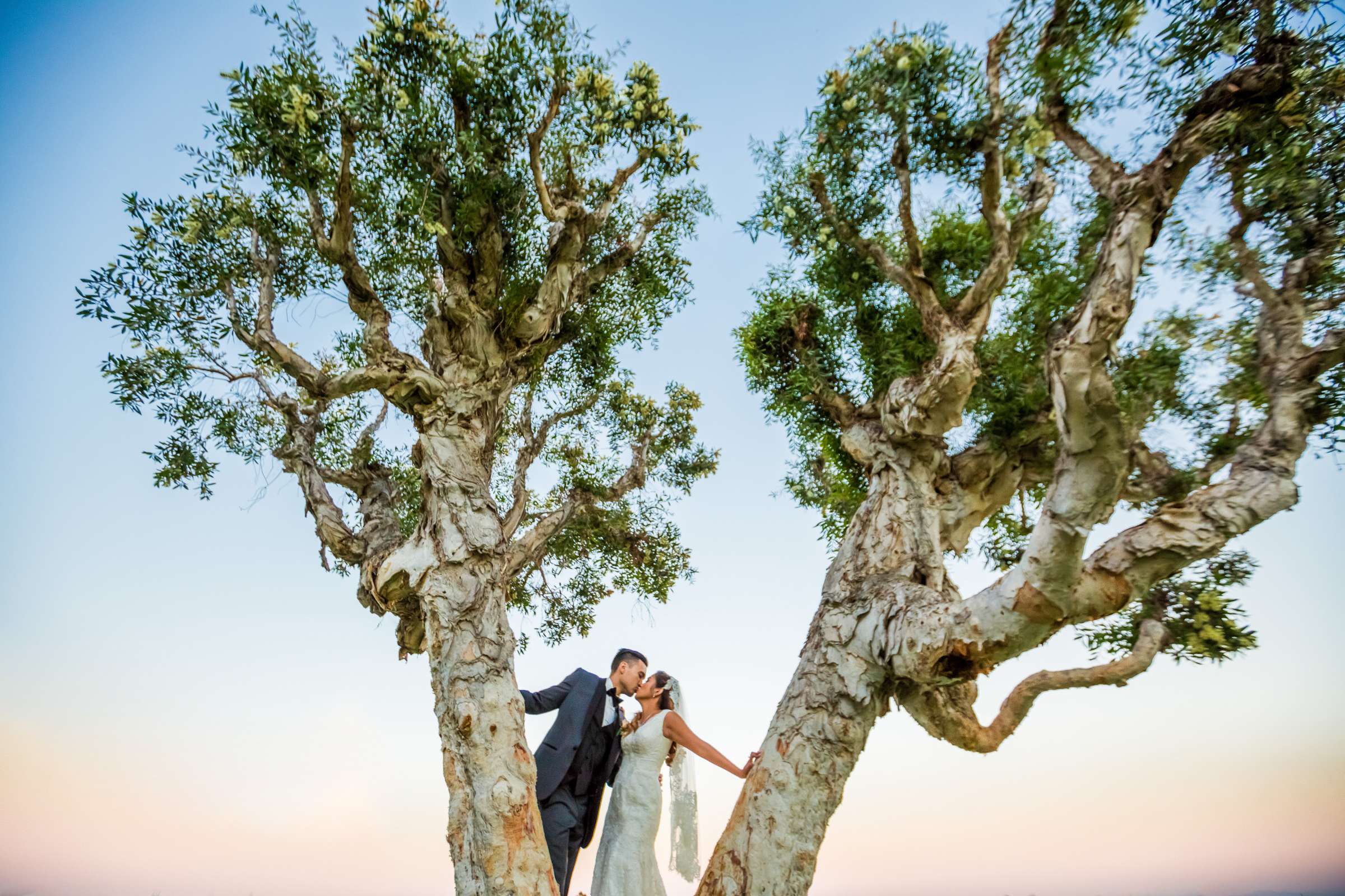 Bride and Groom, Stylized Portrait at Admiral Kidd Club Wedding coordinated by Hannah Smith Events, Annamarie and Scott Wedding Photo #1 by True Photography