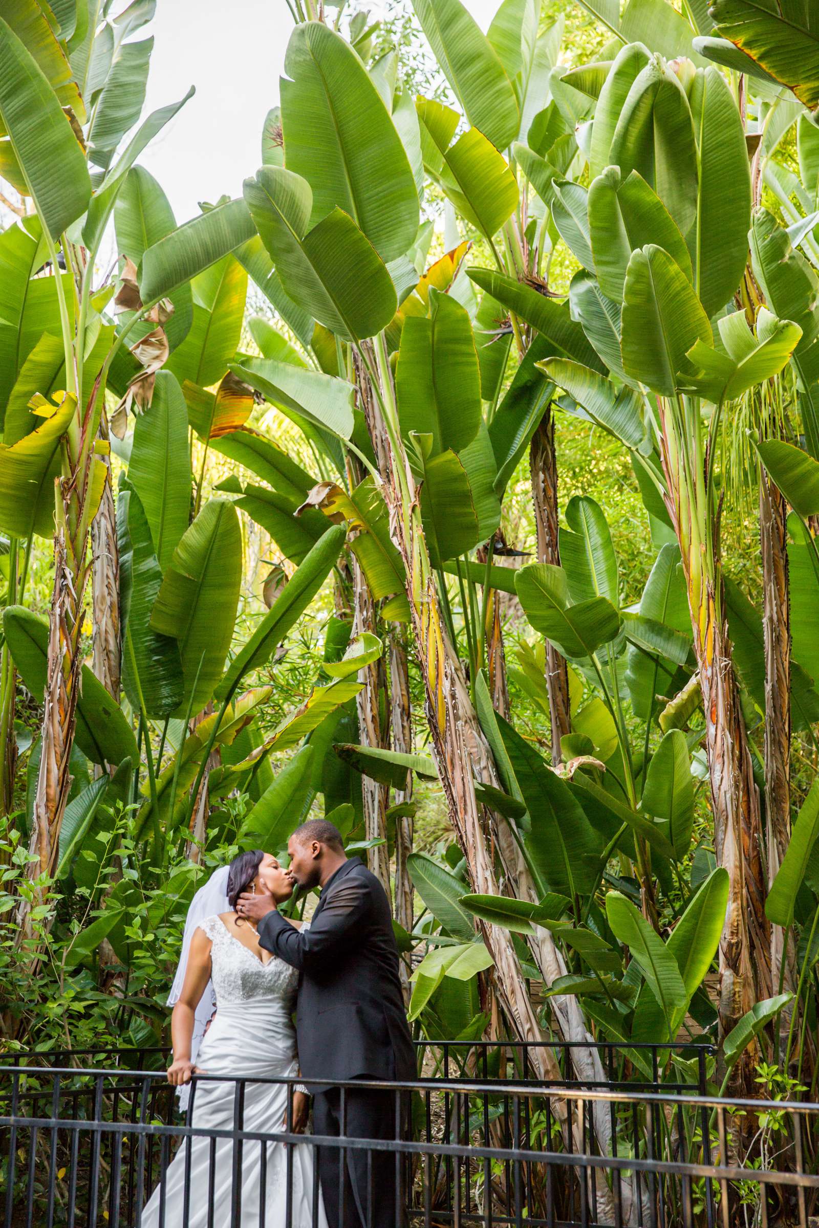 Grand Tradition Estate Wedding coordinated by Grand Tradition Estate, Shana and Antione Wedding Photo #15 by True Photography