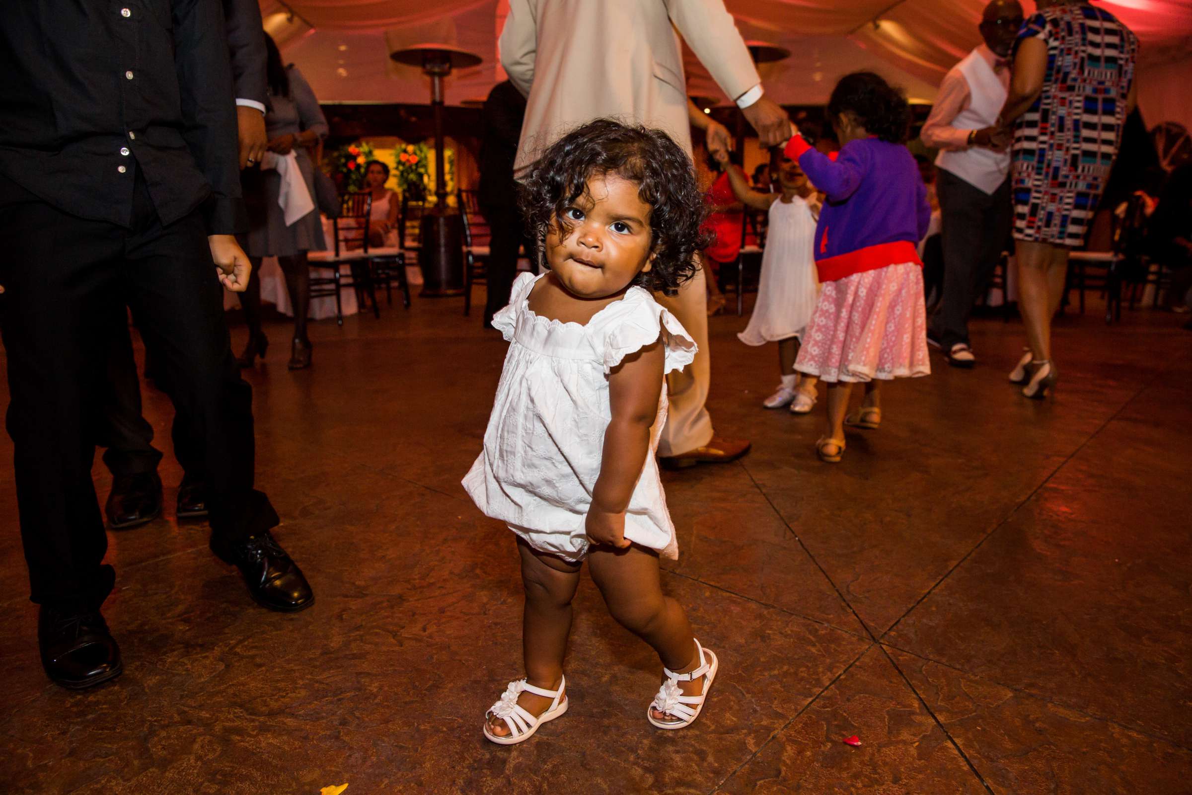 Grand Tradition Estate Wedding coordinated by Grand Tradition Estate, Shana and Antione Wedding Photo #138 by True Photography