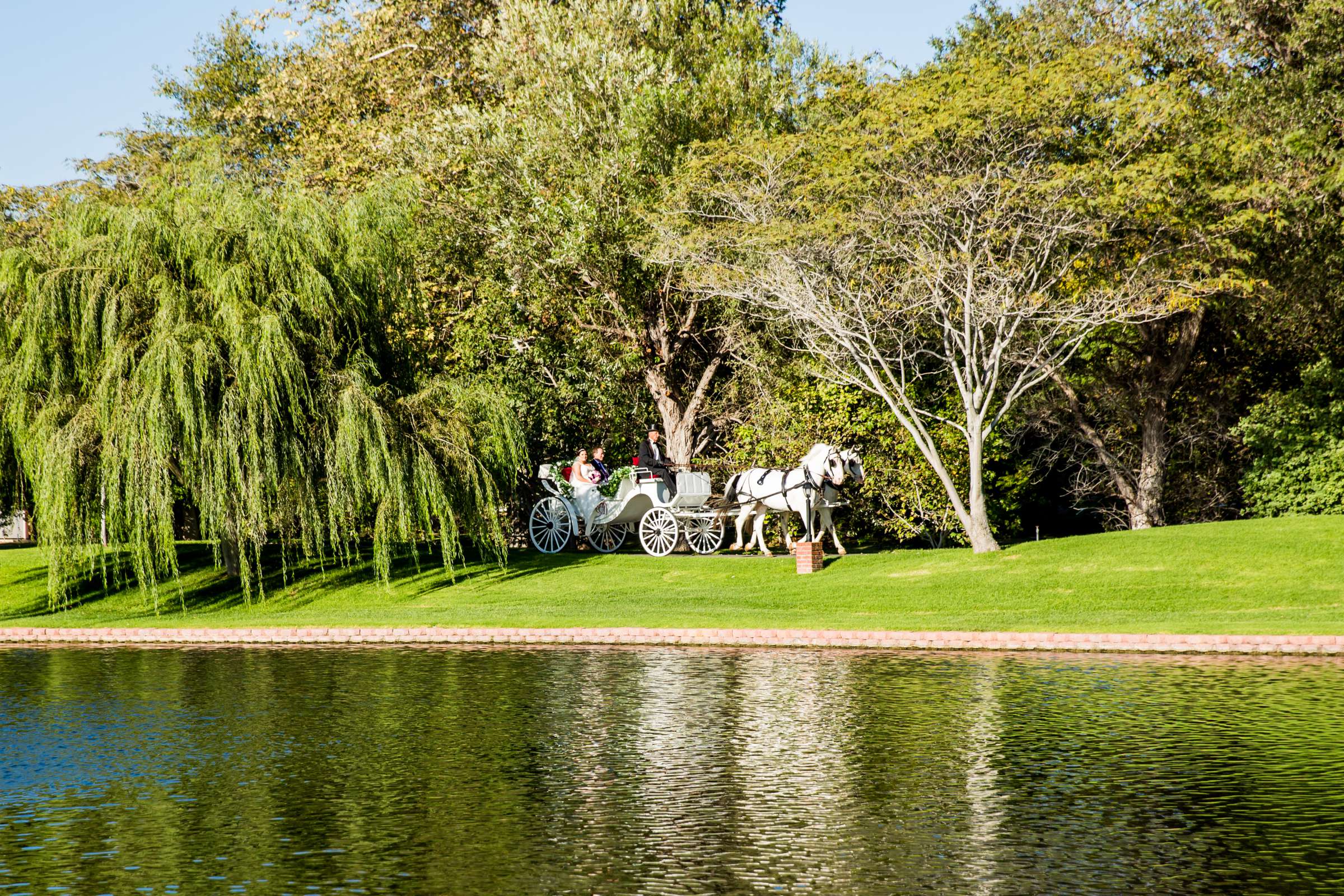 Wedding coordinated by Grand Tradition Estate, Kaitlyn and Barrett Wedding Photo #265154 by True Photography