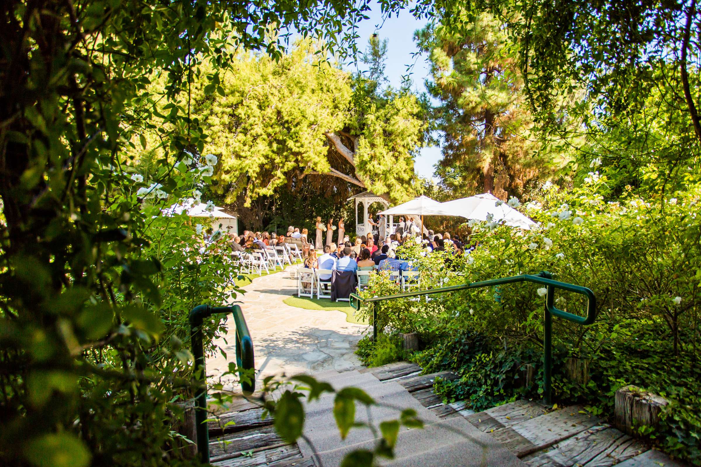 Green Gables Wedding Estate Wedding, Margarita and Mike Wedding Photo #61 by True Photography