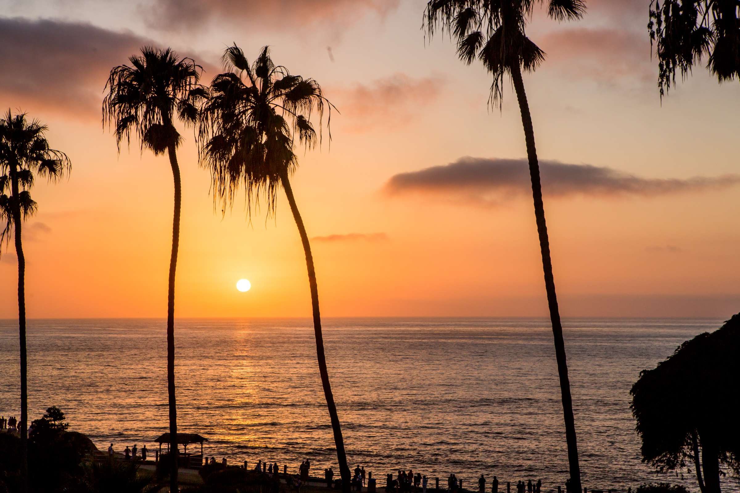 La Jolla Cove Rooftop Wedding, Lindsea and Daniel Wedding Photo #267257 by True Photography