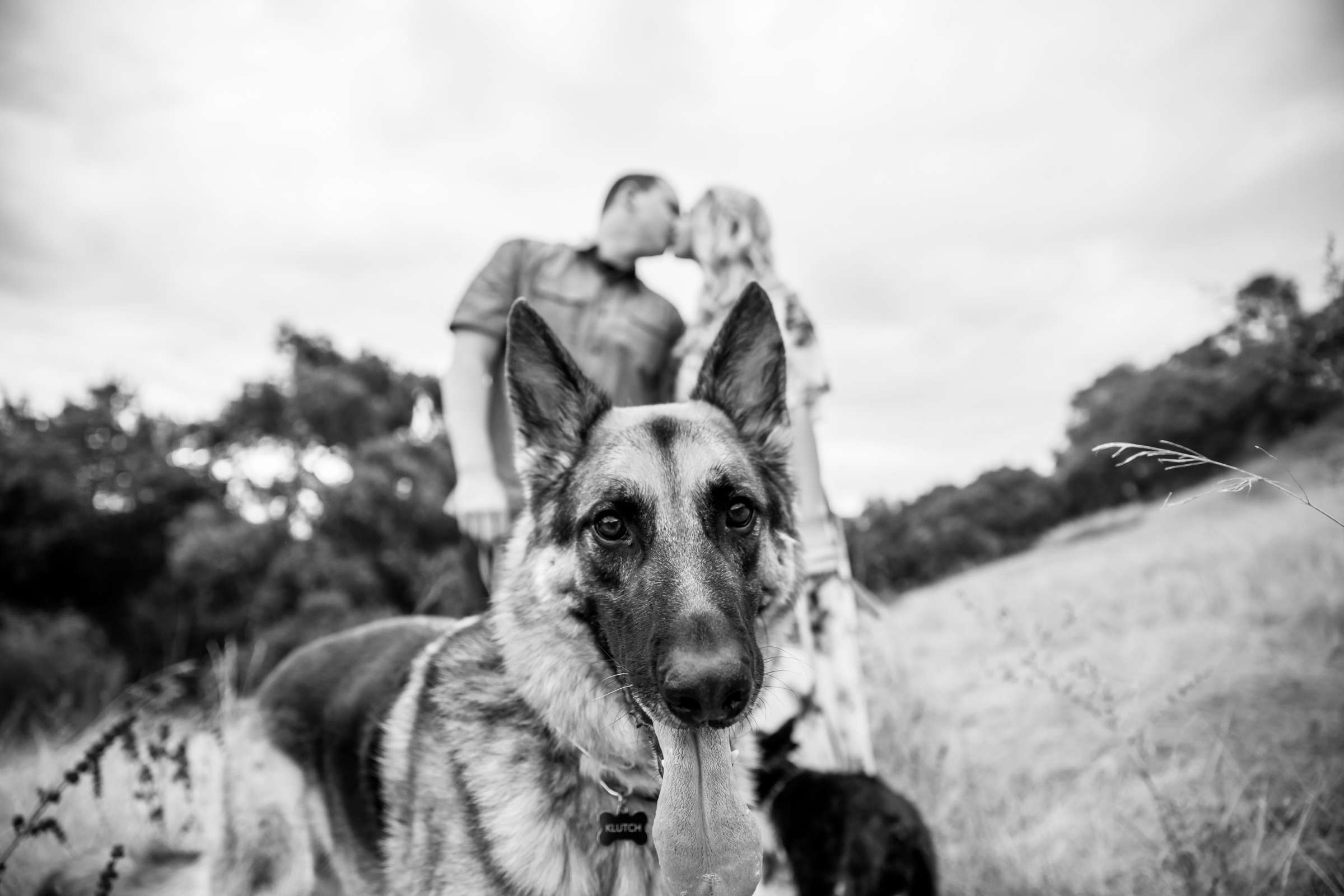 Engagement, Christy and Max Engagement Photo #268968 by True Photography