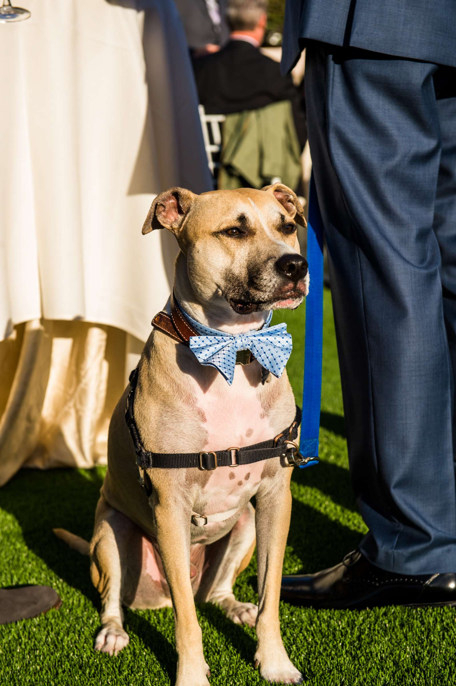 L'Auberge Wedding coordinated by L'Auberge, Jennifer and Marcus Wedding Photo #70 by True Photography