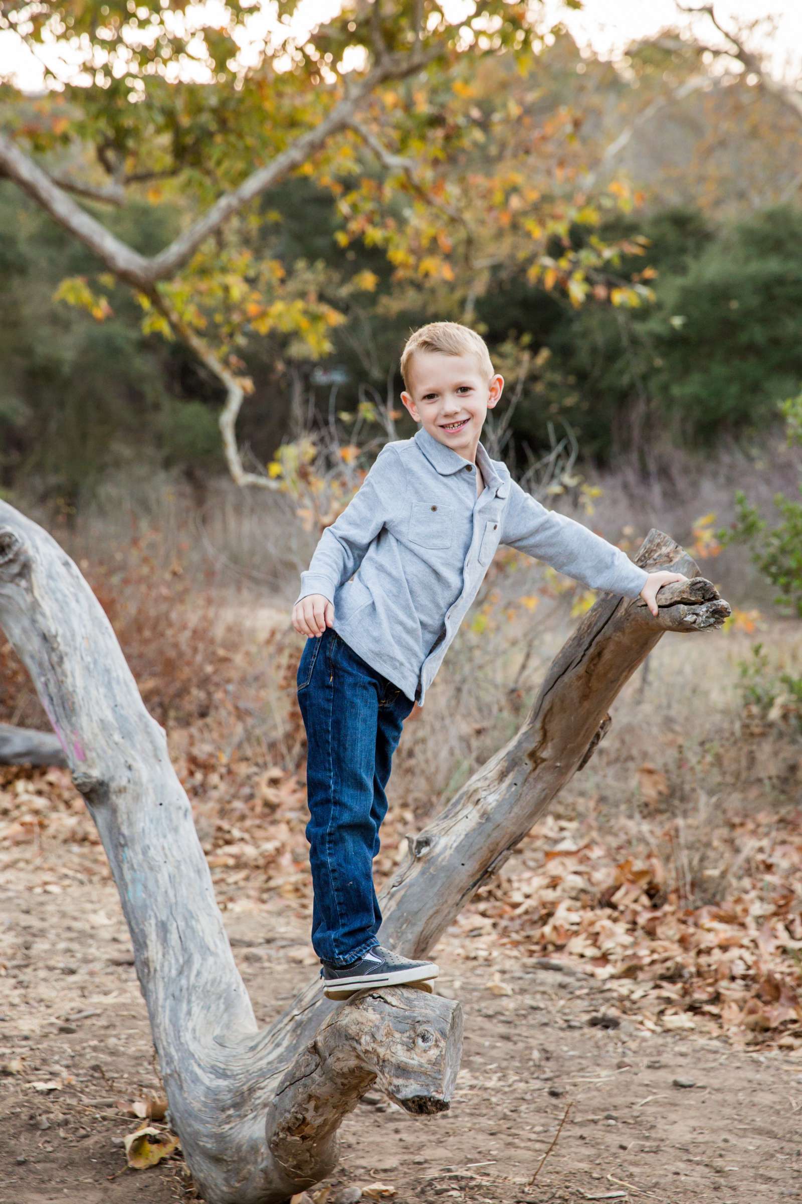 Family Portraits, Kovol Family Photo #281699 by True Photography