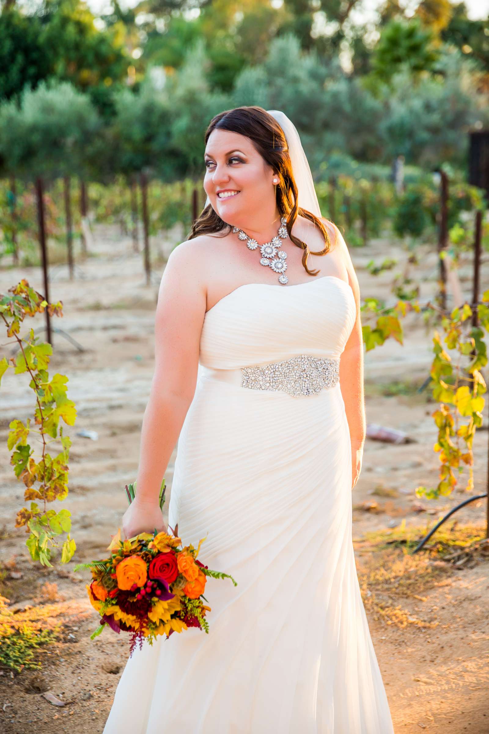 Bernardo Winery Wedding, Jennifer and Paul Wedding Photo #282392 by True Photography