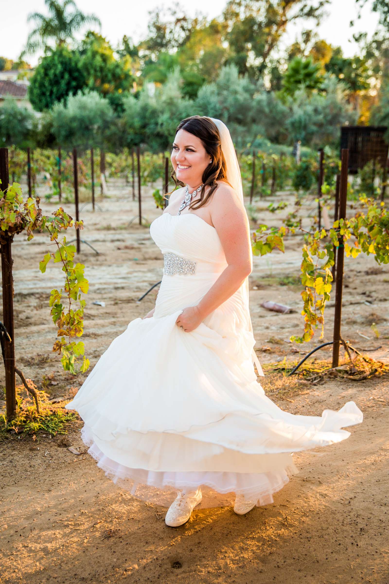 Bernardo Winery Wedding, Jennifer and Paul Wedding Photo #282464 by True Photography