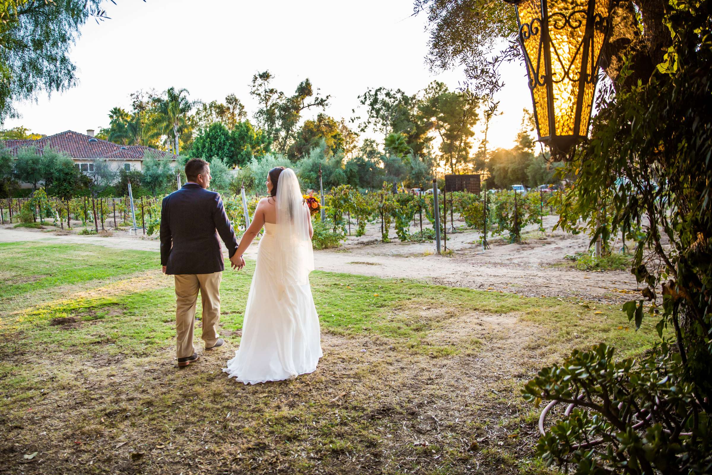 Bernardo Winery Wedding, Jennifer and Paul Wedding Photo #282472 by True Photography