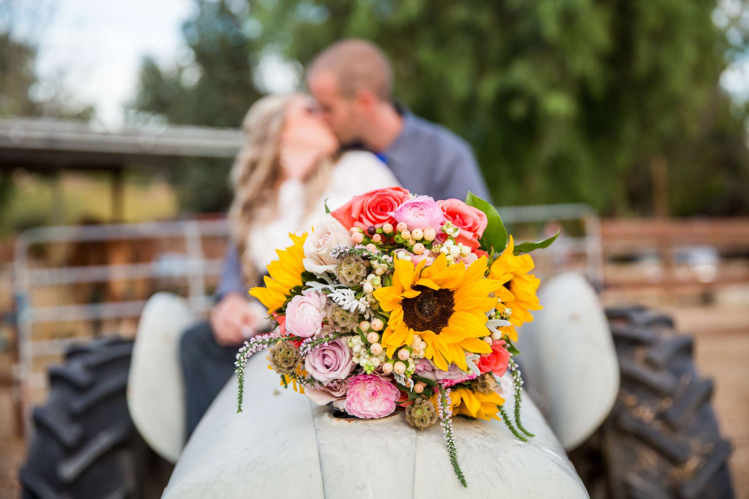 Longshadow Ranch Vineyard & Winery Wedding coordinated by Longshadow Ranch Vineyard & Winery, Shannon and Tyler Wedding Photo #18 by True Photography