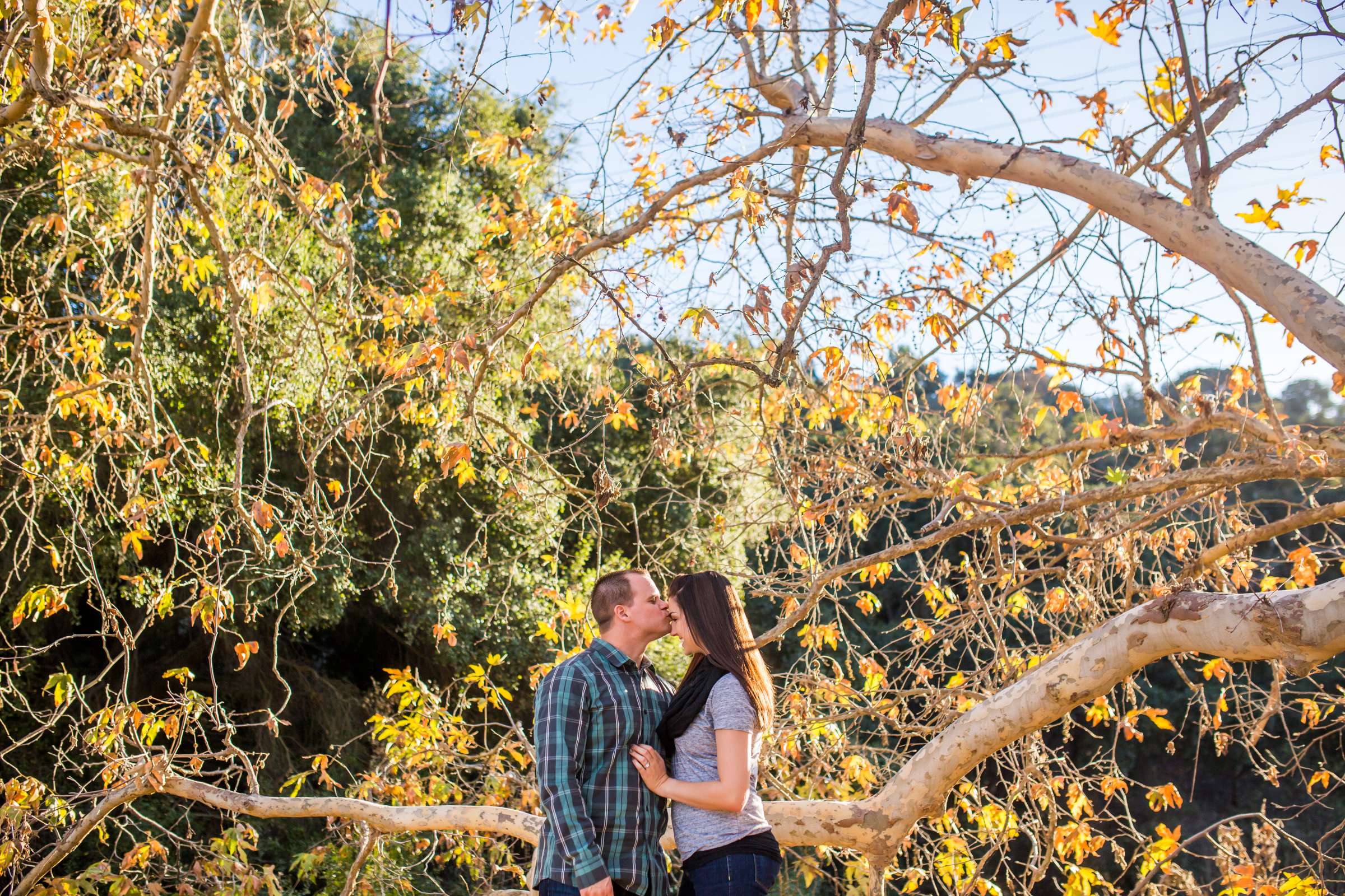 Engagement, Kelly and Joe Engagement Photo #287969 by True Photography