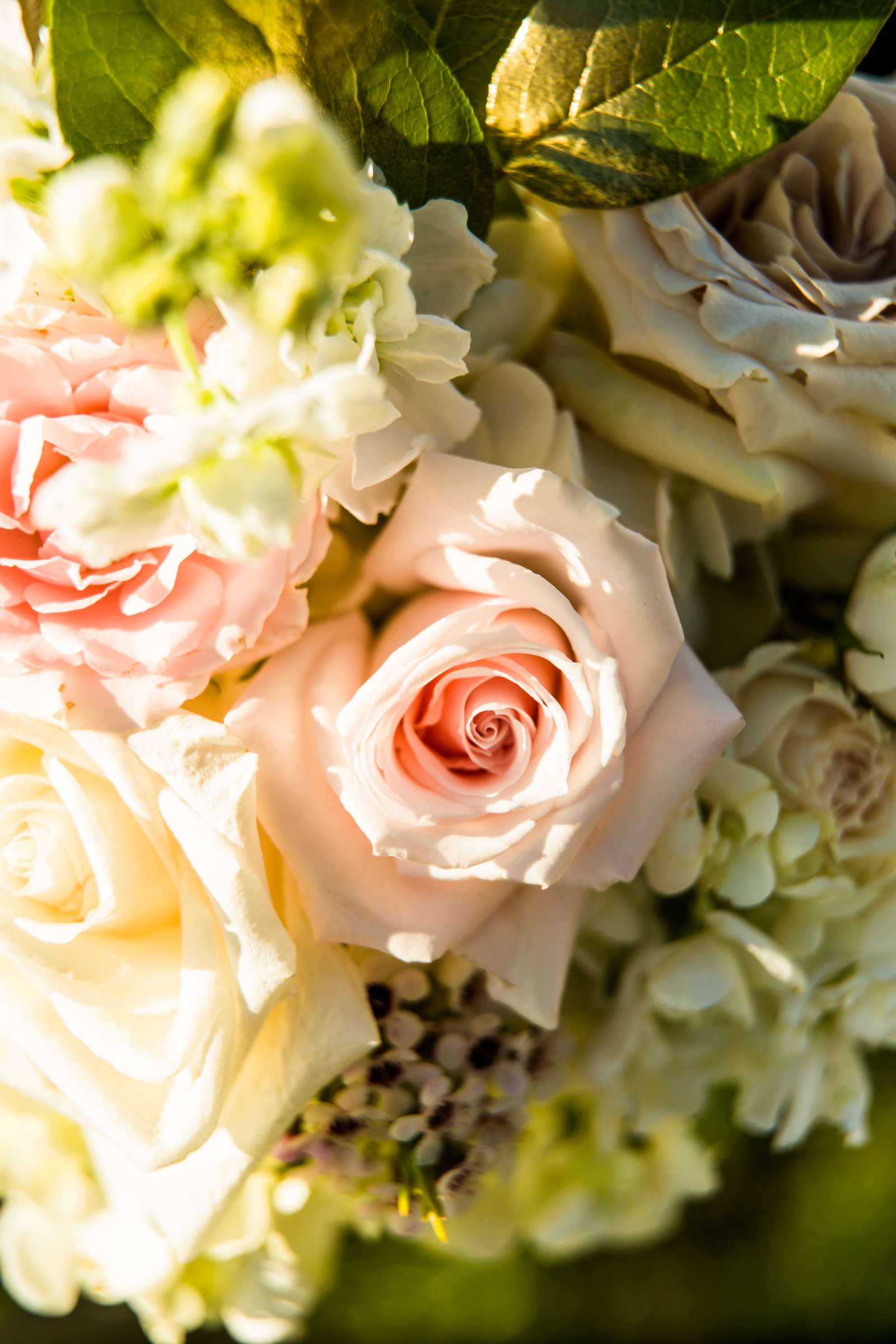 Scripps Seaside Forum Wedding coordinated by I Do Weddings, Ariela and Andrew Wedding Photo #50 by True Photography