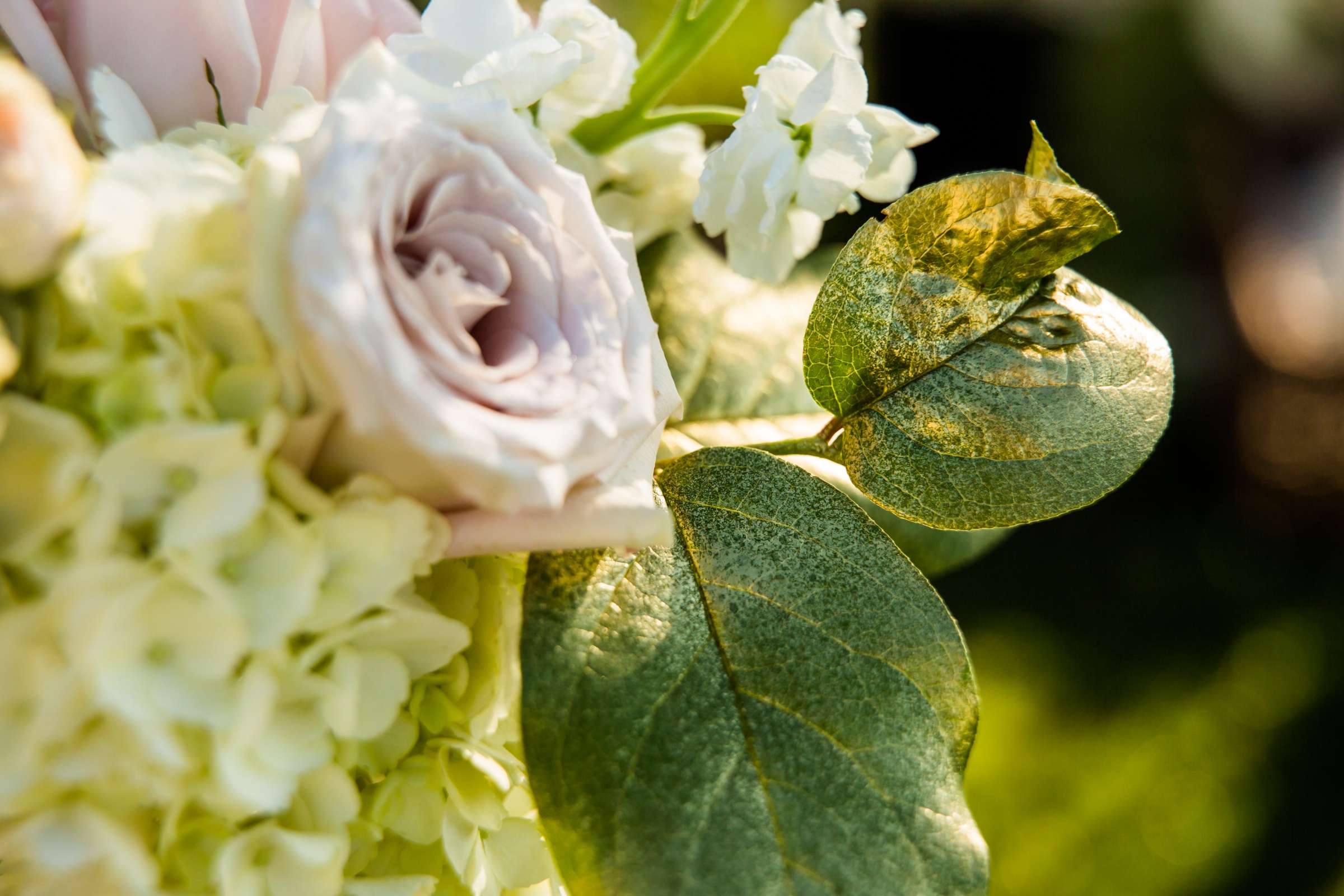 Scripps Seaside Forum Wedding coordinated by I Do Weddings, Ariela and Andrew Wedding Photo #51 by True Photography