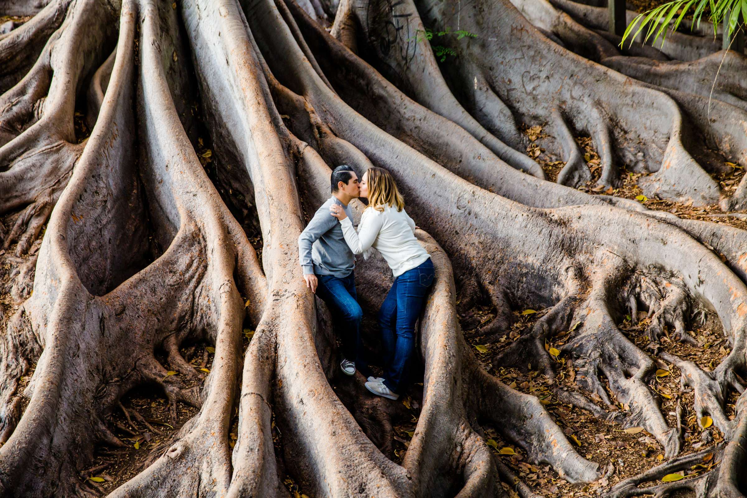 Engagement, Jessica and Juan Carlos Engagement Photo #1 by True Photography