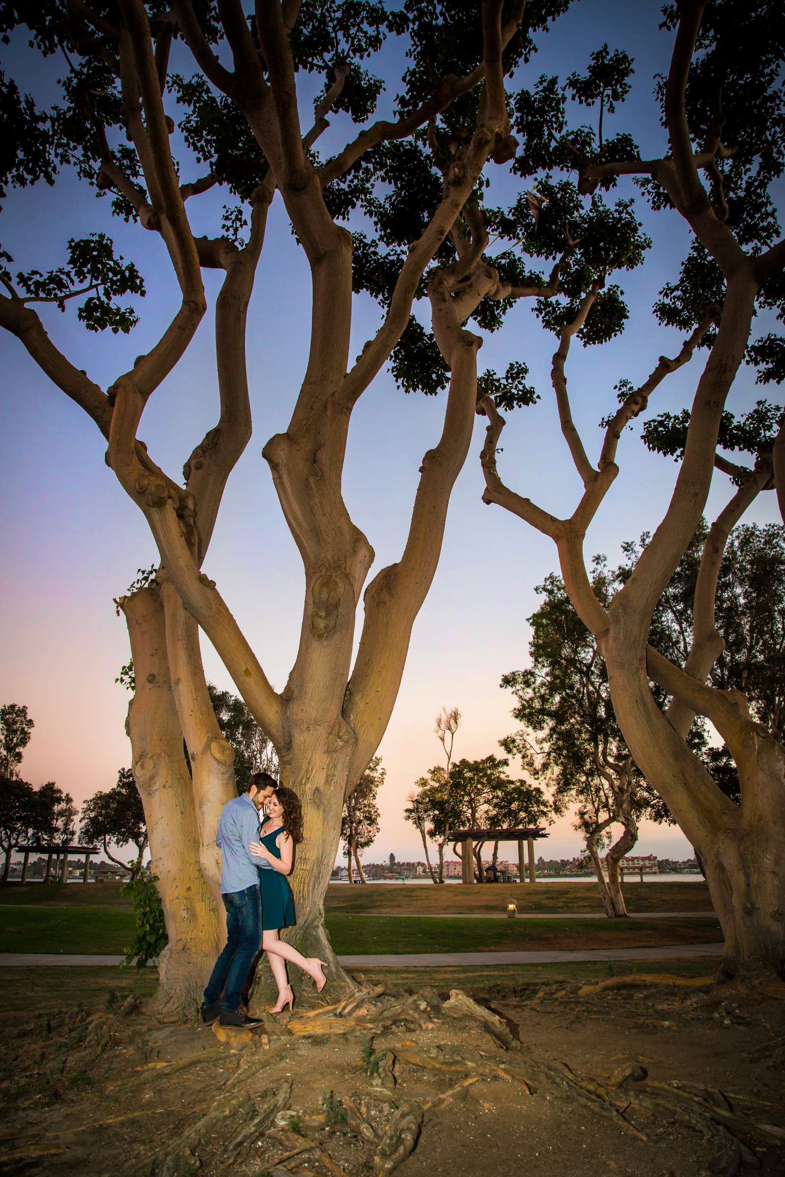 Engagement, Hanah and Wesley Engagement Photo #26 by True Photography