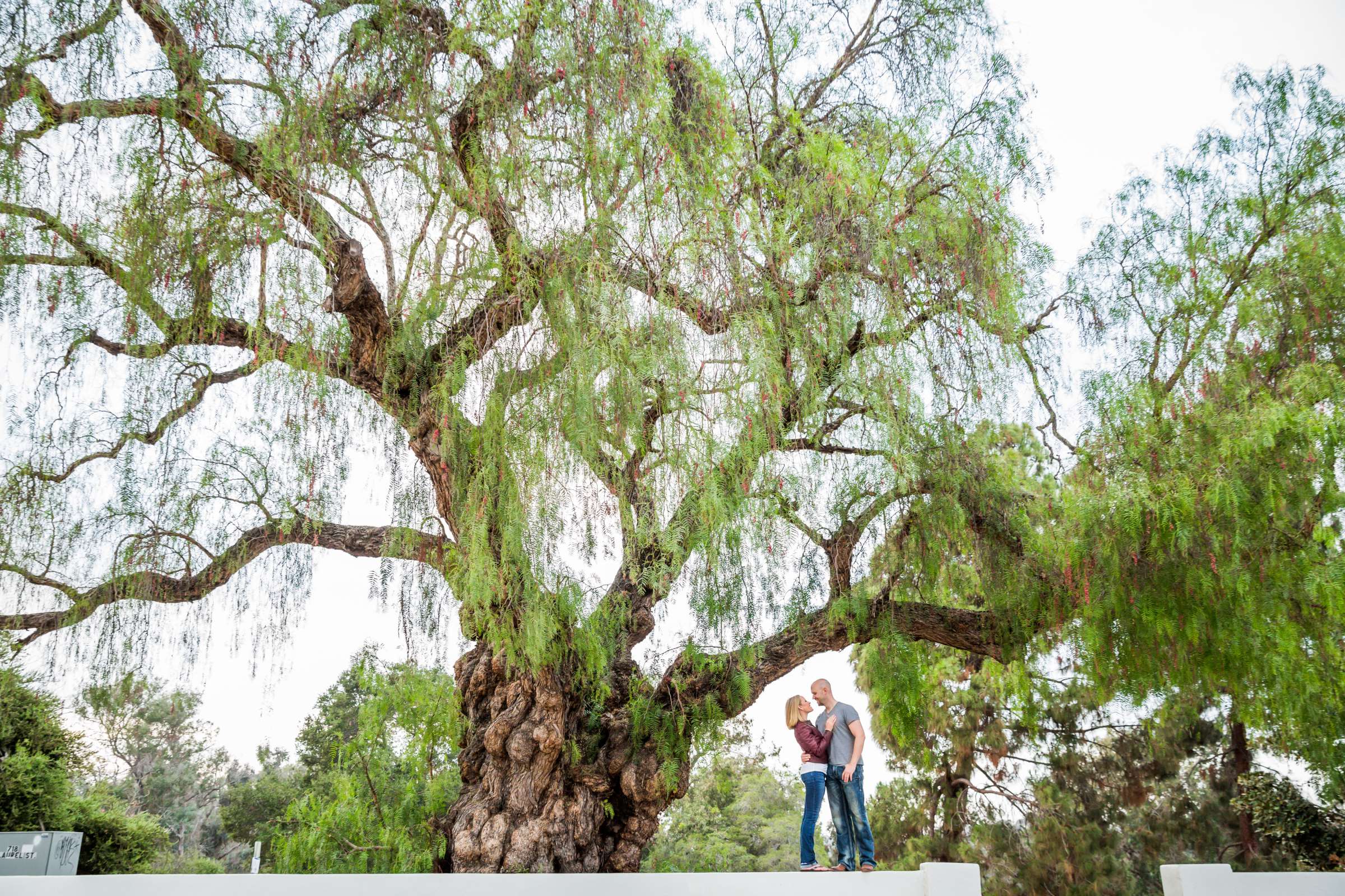 Engagement, Darcy and Joe Engagement Photo #296283 by True Photography