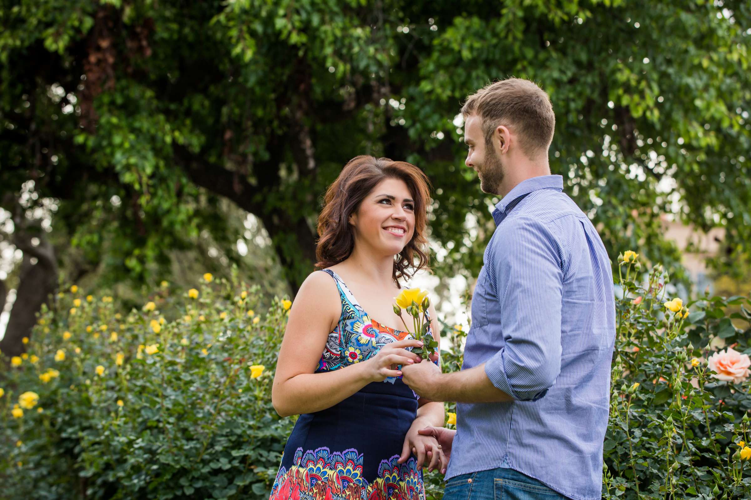 Engagement, Madeleine and Joseph Engagement Photo #13 by True Photography