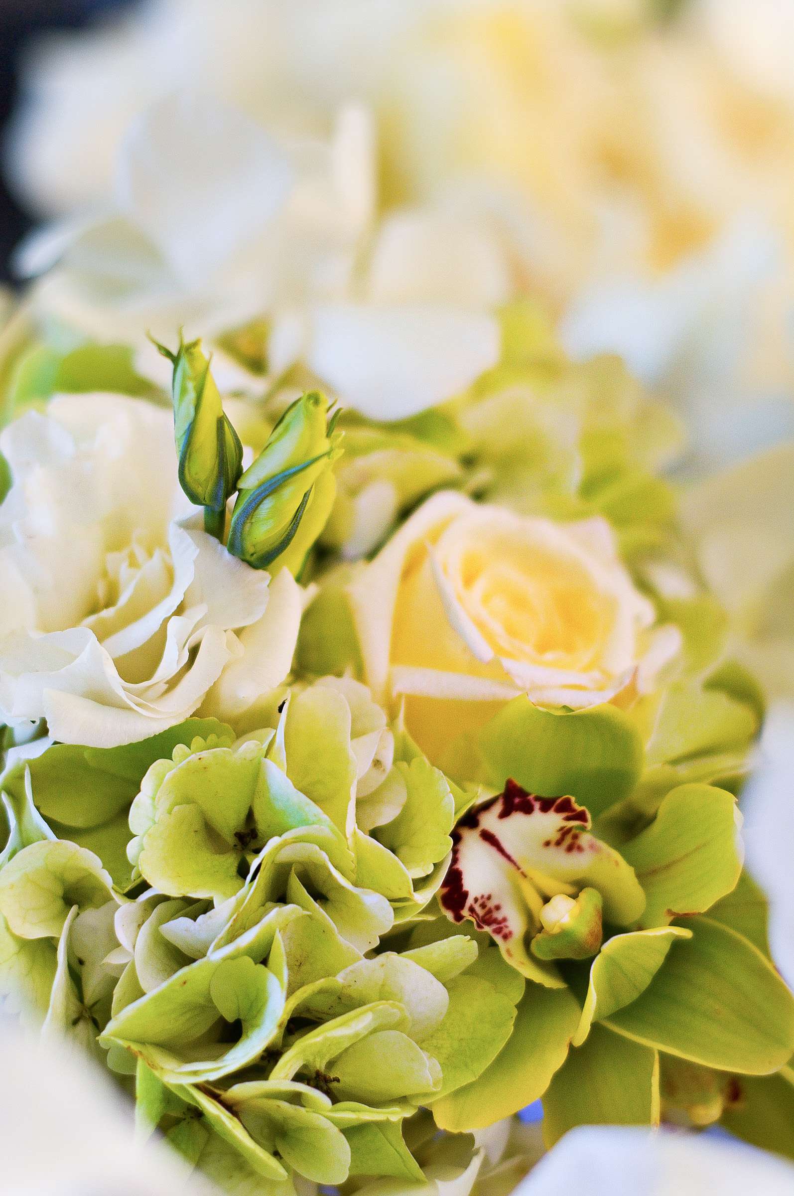 Loews Coronado Bay Resort Wedding coordinated by Crown Weddings, Karen and Stewart Wedding Photo #299446 by True Photography