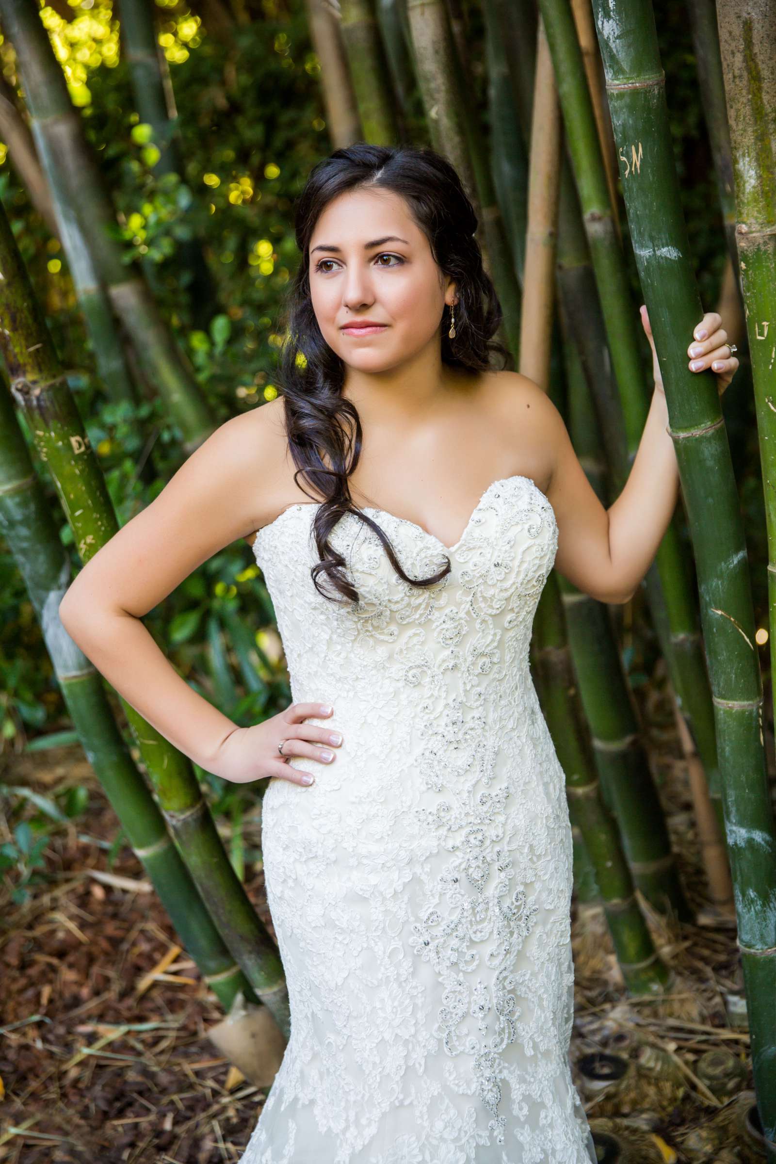 Grand Tradition Estate Wedding coordinated by Grand Tradition Estate, Amanda and Sam Wedding Photo #300858 by True Photography