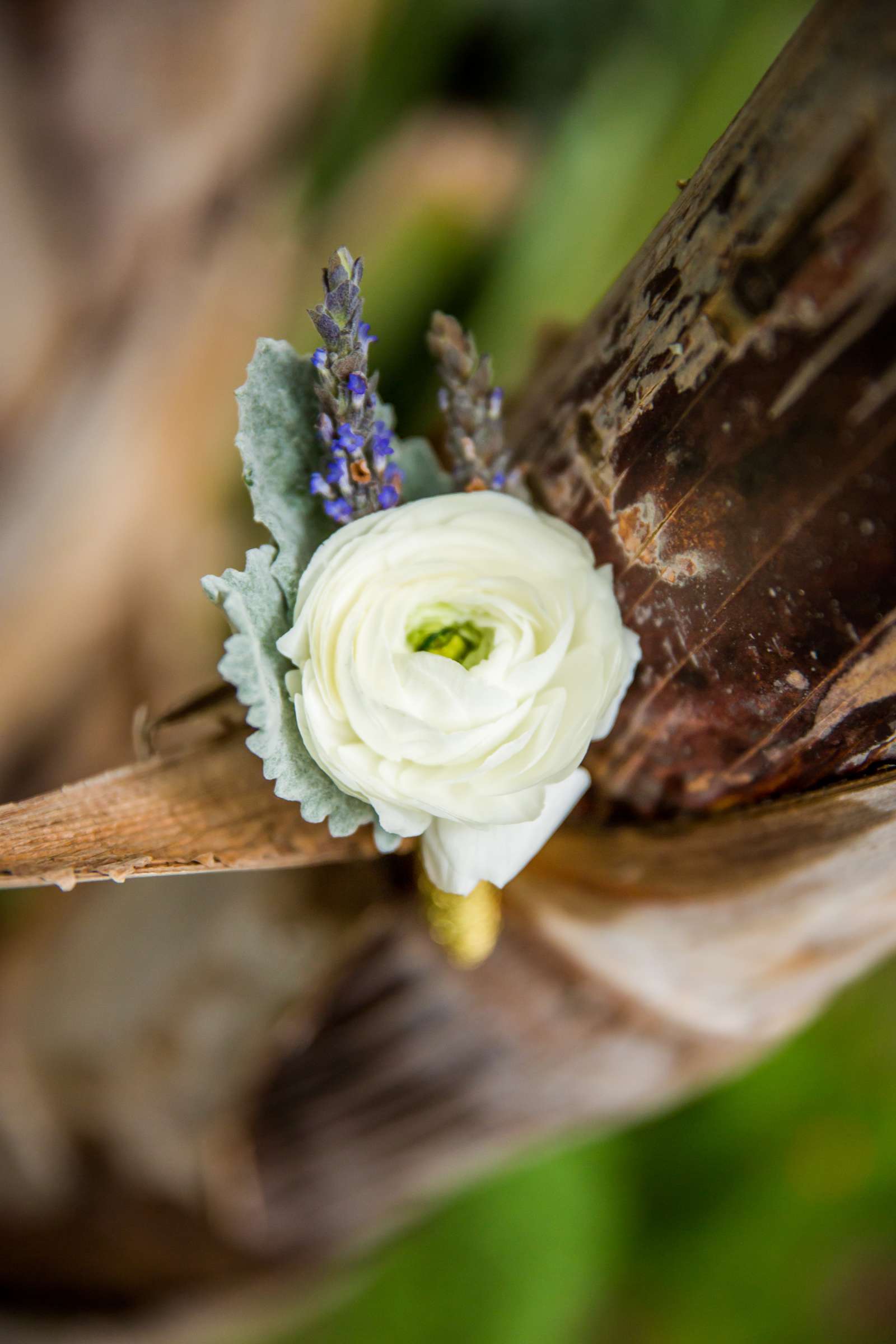 Grand Tradition Estate Wedding coordinated by Grand Tradition Estate, Amanda and Sam Wedding Photo #300927 by True Photography