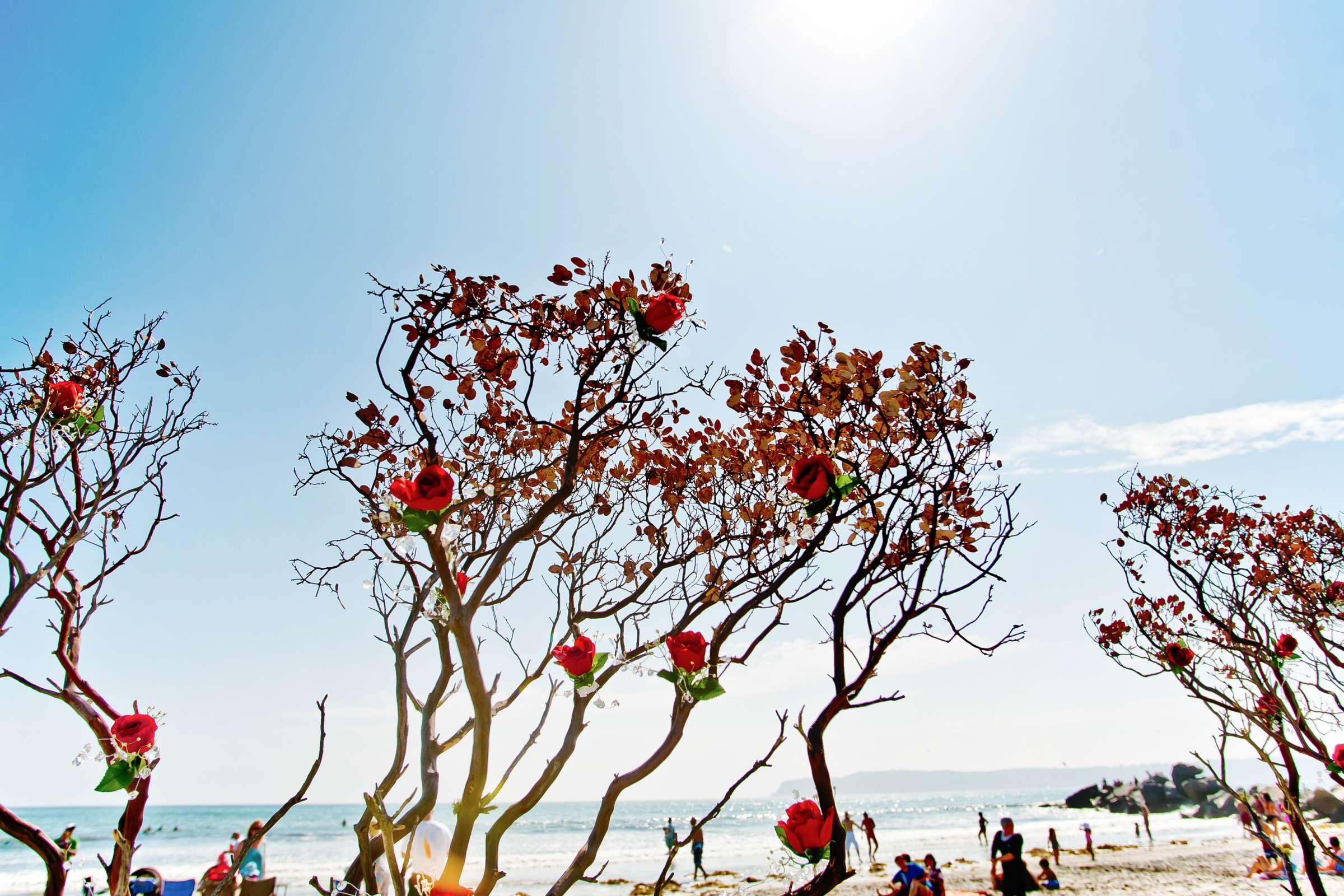 Coronado Community Center Wedding coordinated by InStyle Event Planning, Robin and Marshall Wedding Photo #304322 by True Photography