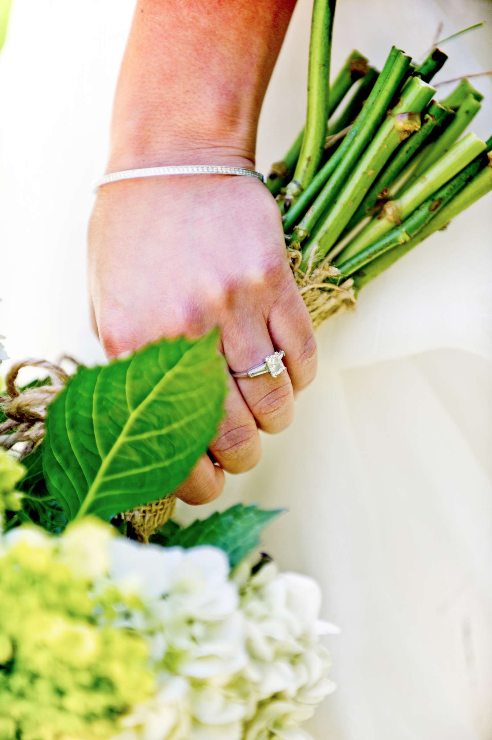 Private Residence Wedding, Jamie and Jared Wedding Photo #304370 by True Photography