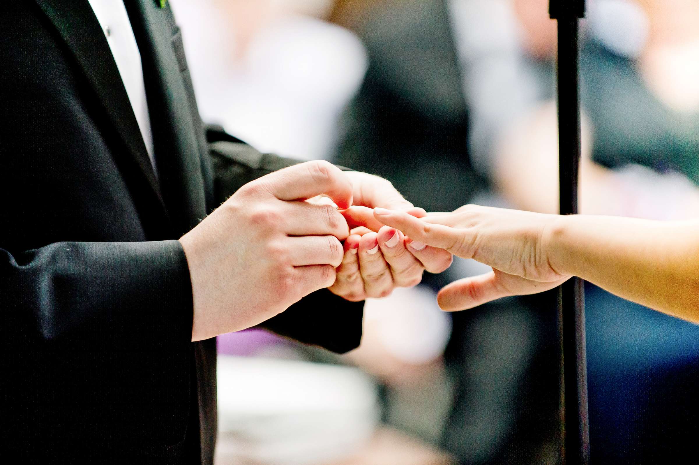 Wedgewood Wedding & Banquet Center Wedding, Delila and Michael Wedding Photo #305456 by True Photography