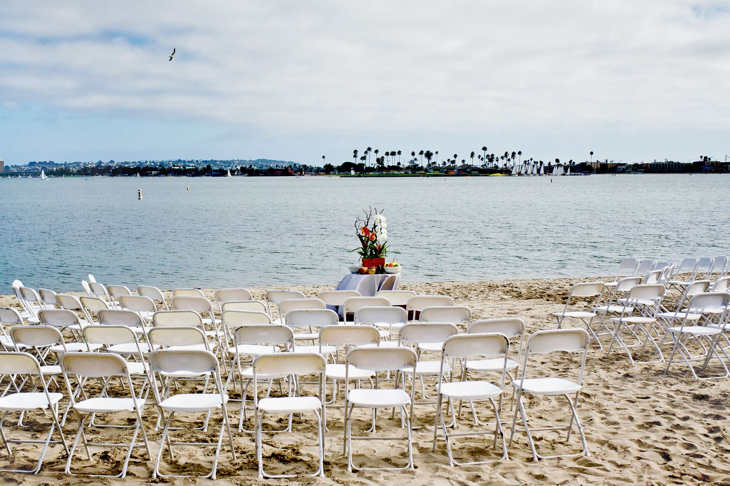 Wedding, Deborah and Matt Wedding Photo #306713 by True Photography