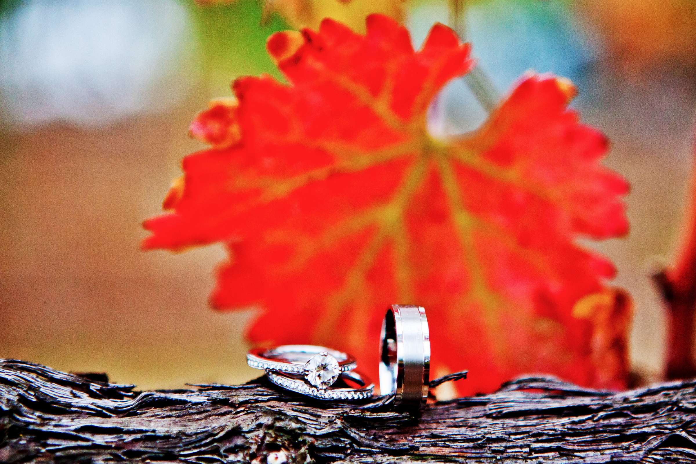 Orfila Vineyards Wedding coordinated by First Comes Love Weddings & Events, Christine and Stephen Wedding Photo #307913 by True Photography