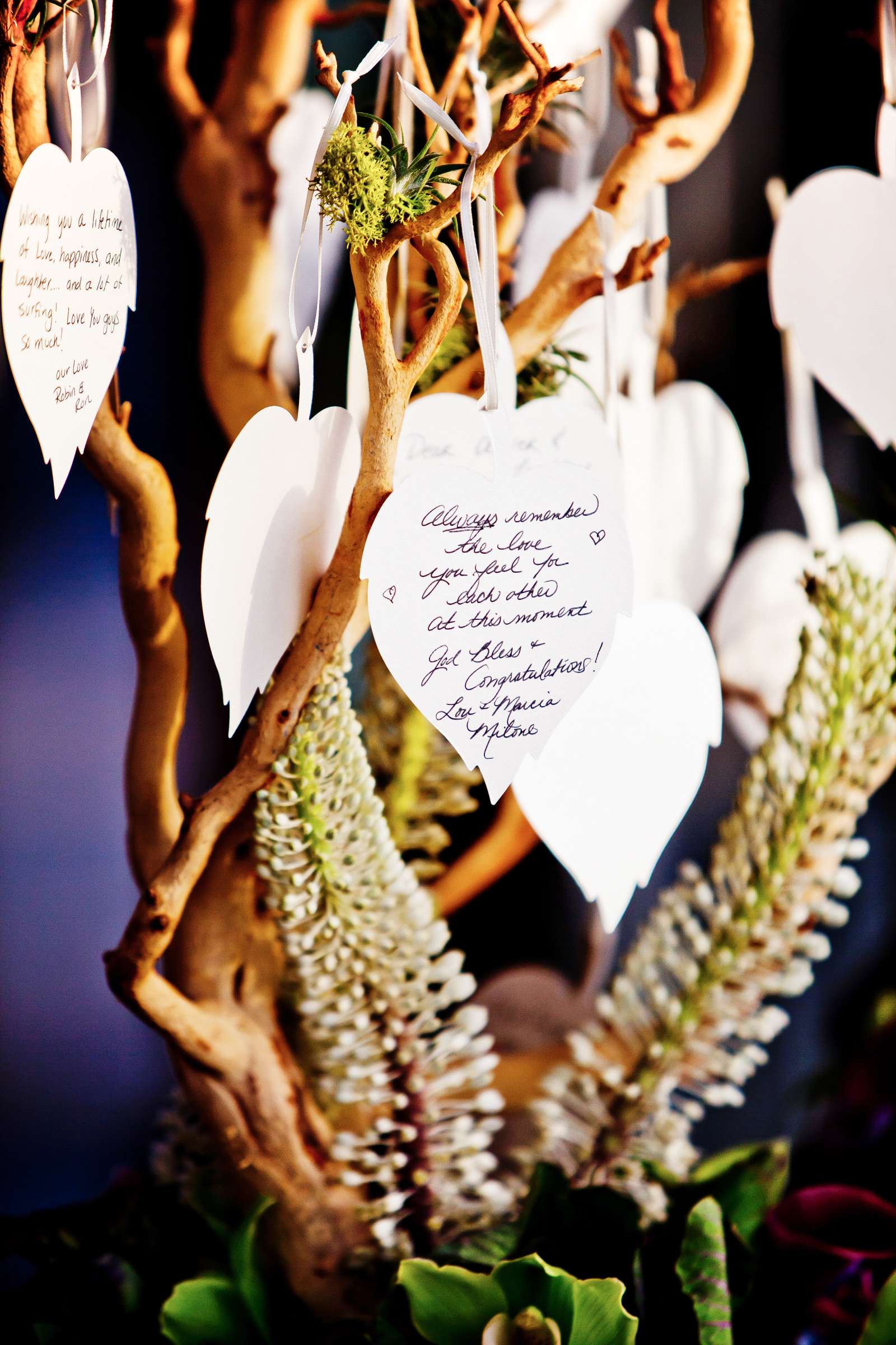 Scripps Seaside Forum Wedding coordinated by Emily Smiley, Lindsay and Denver Wedding Photo #308035 by True Photography