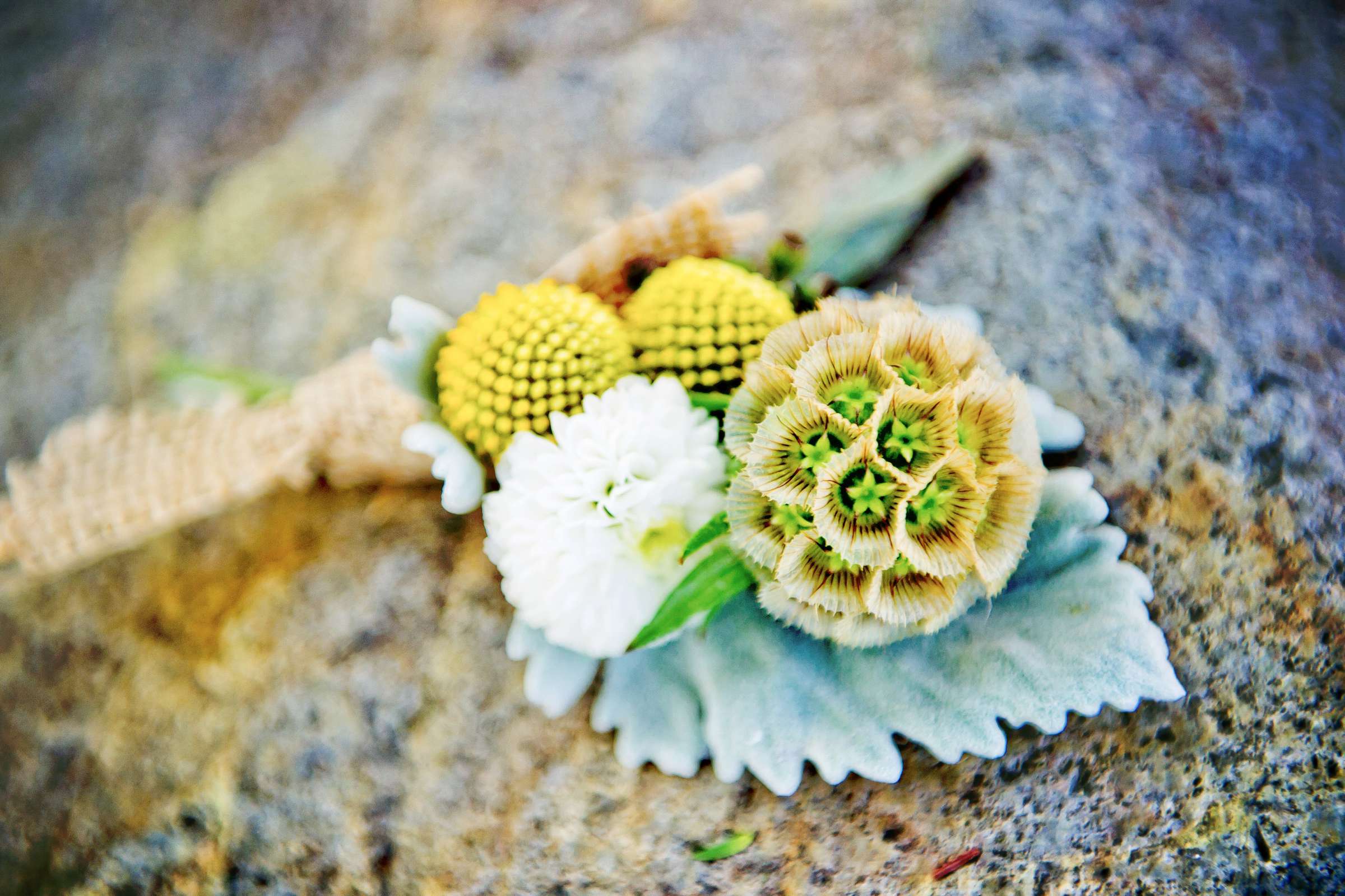 Leo Carrillo Ranch Wedding, Carrie and Charlie Wedding Photo #308679 by True Photography