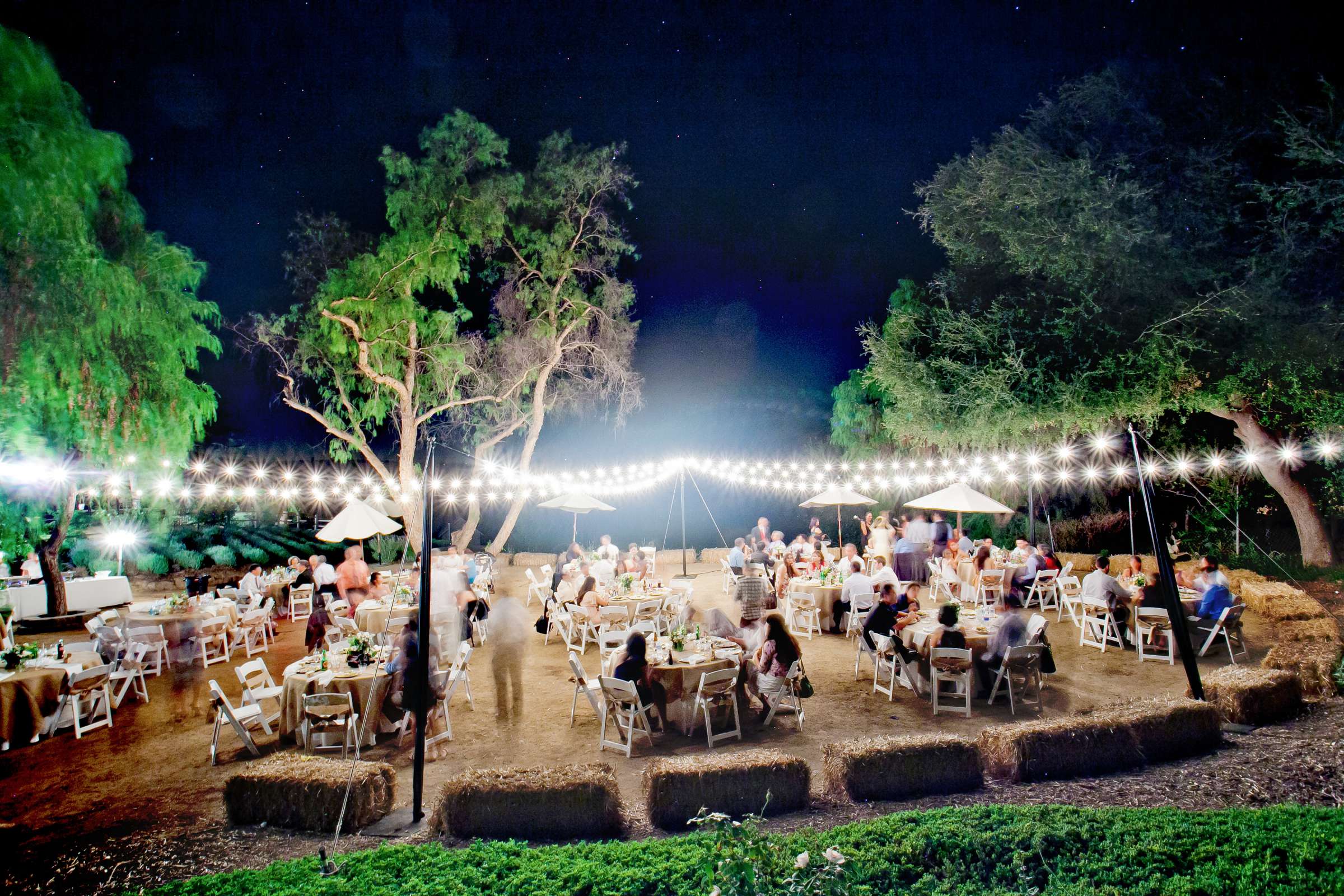 Keys Creek Lavender Farms Wedding coordinated by Gia Zopatti Wedding Coordination, Vi and Michael Wedding Photo #308763 by True Photography