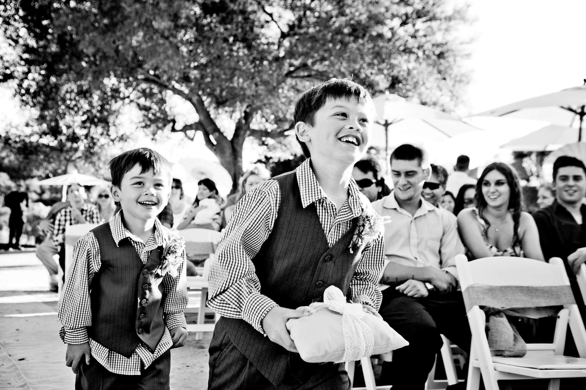 Keys Creek Lavender Farms Wedding coordinated by Gia Zopatti Wedding Coordination, Vi and Michael Wedding Photo #308785 by True Photography