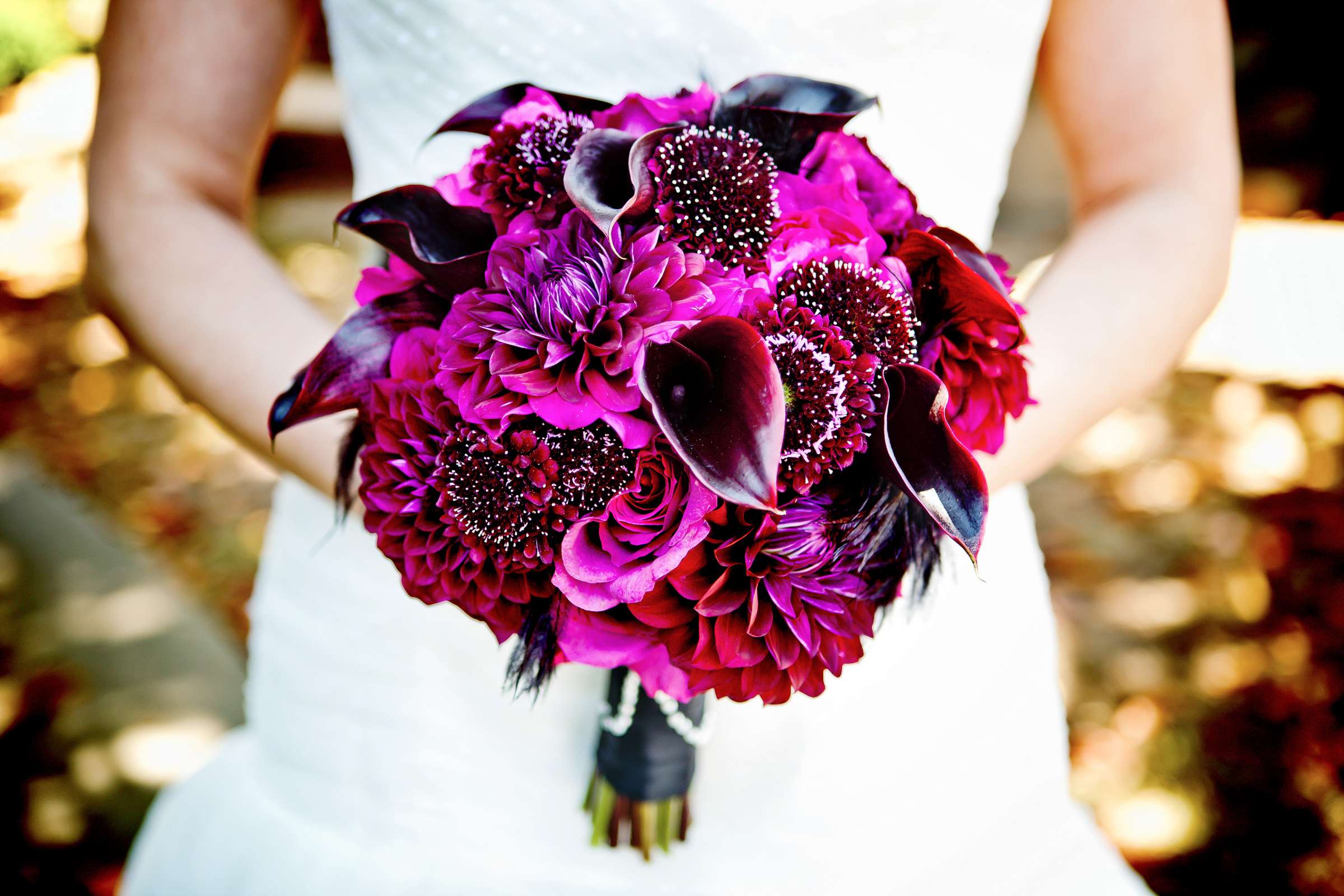 El Cortez Wedding, Rachael and Jeff Wedding Photo #310801 by True Photography