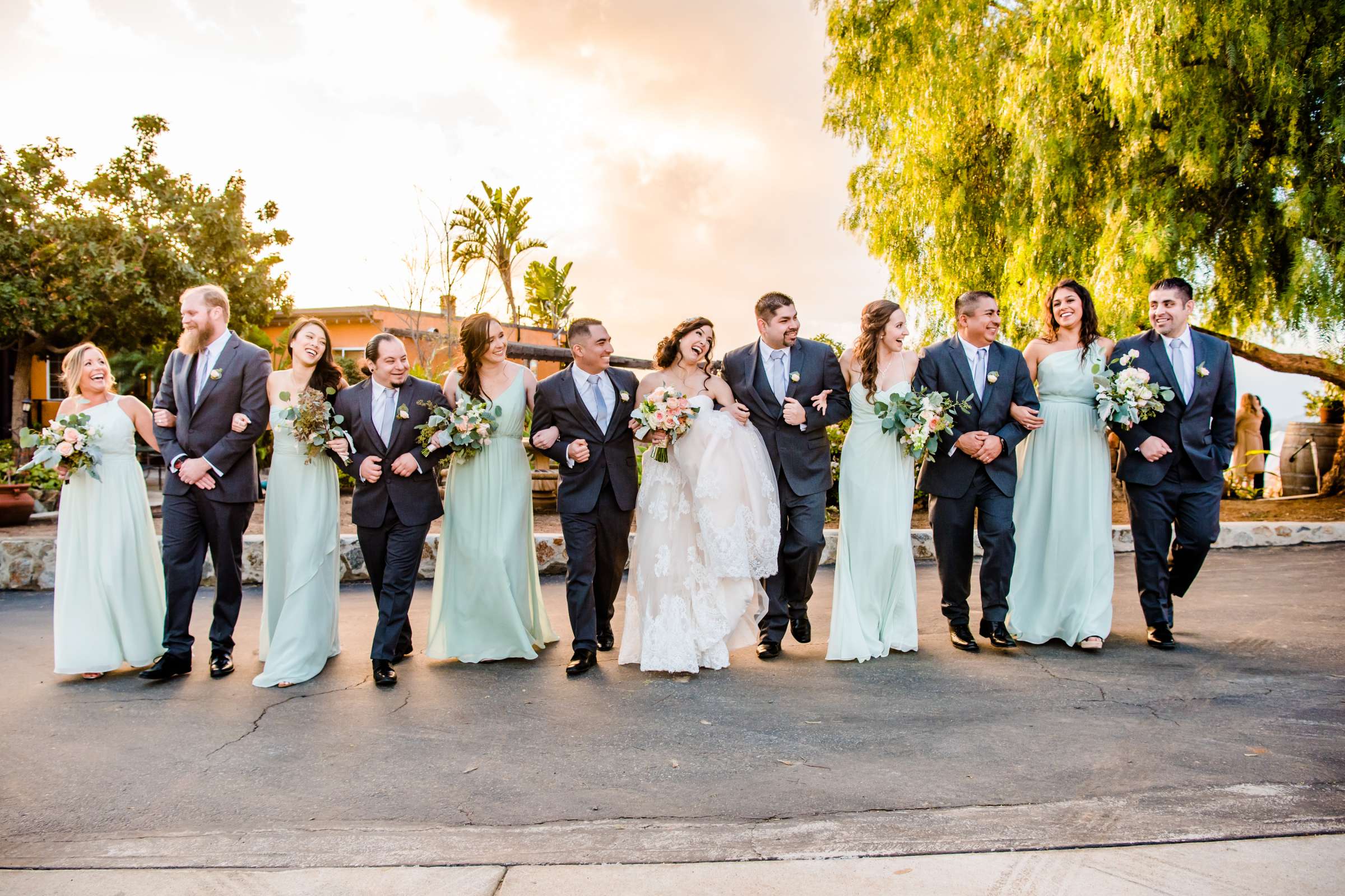 Cordiano Winery Wedding coordinated by Sisti & Co, Tara and Daniel Wedding Photo #311285 by True Photography