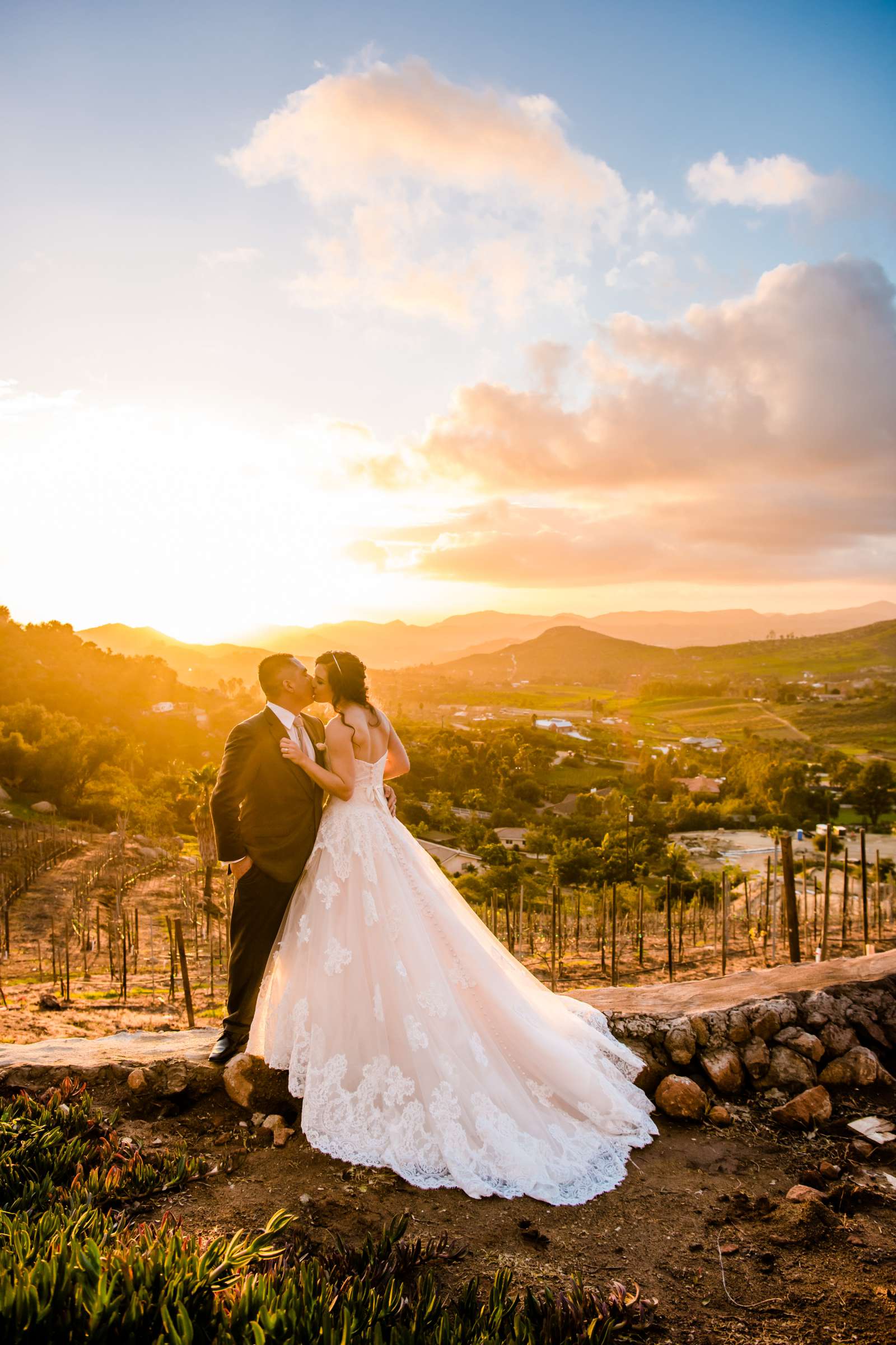 Cordiano Winery Wedding coordinated by Sisti & Co, Tara and Daniel Wedding Photo #311366 by True Photography