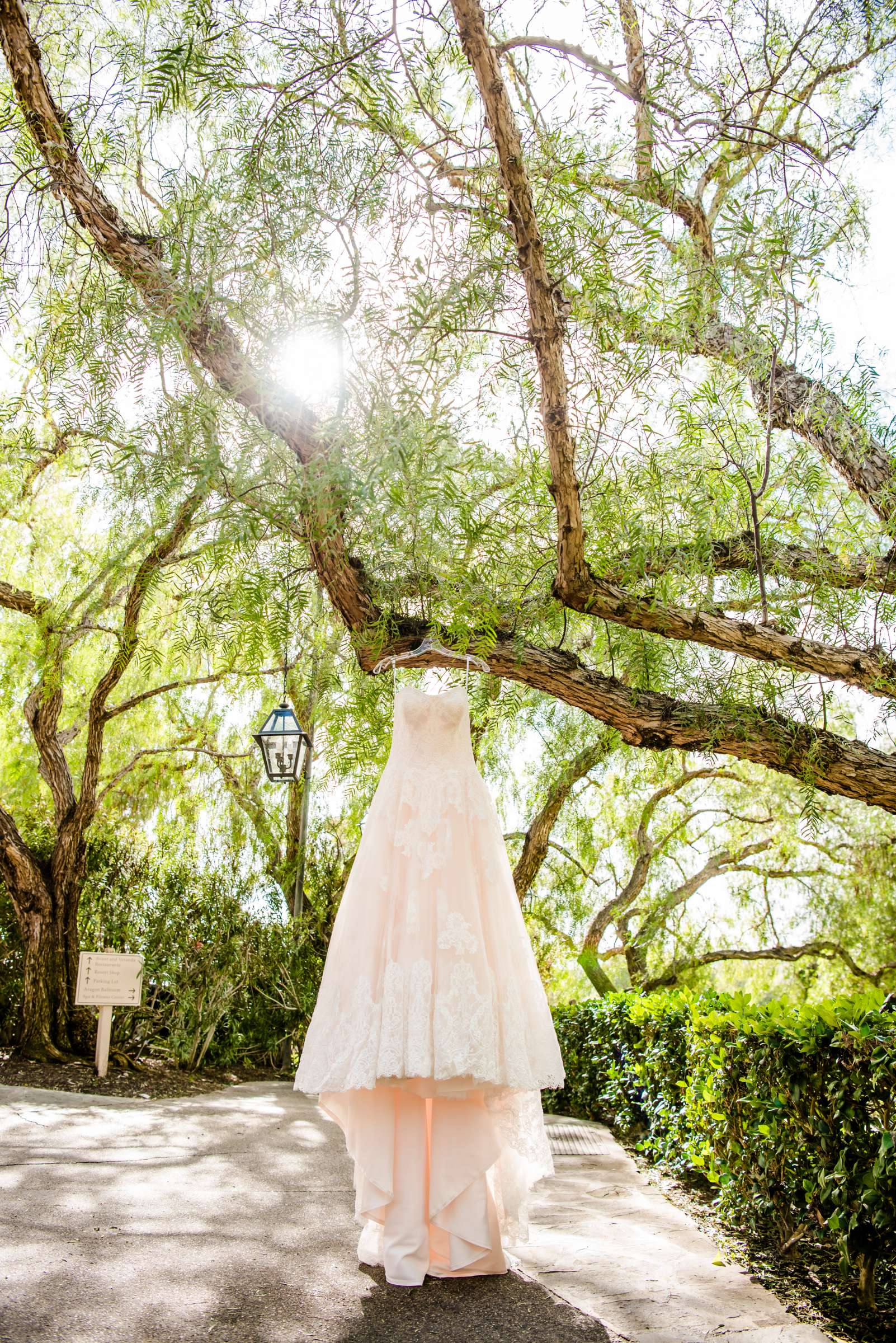 Cordiano Winery Wedding coordinated by Sisti & Co, Tara and Daniel Wedding Photo #311372 by True Photography