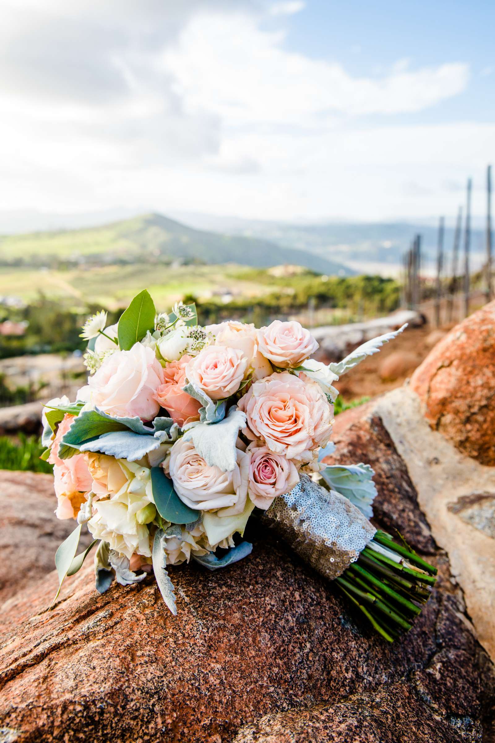 Cordiano Winery Wedding coordinated by Sisti & Co, Tara and Daniel Wedding Photo #311439 by True Photography