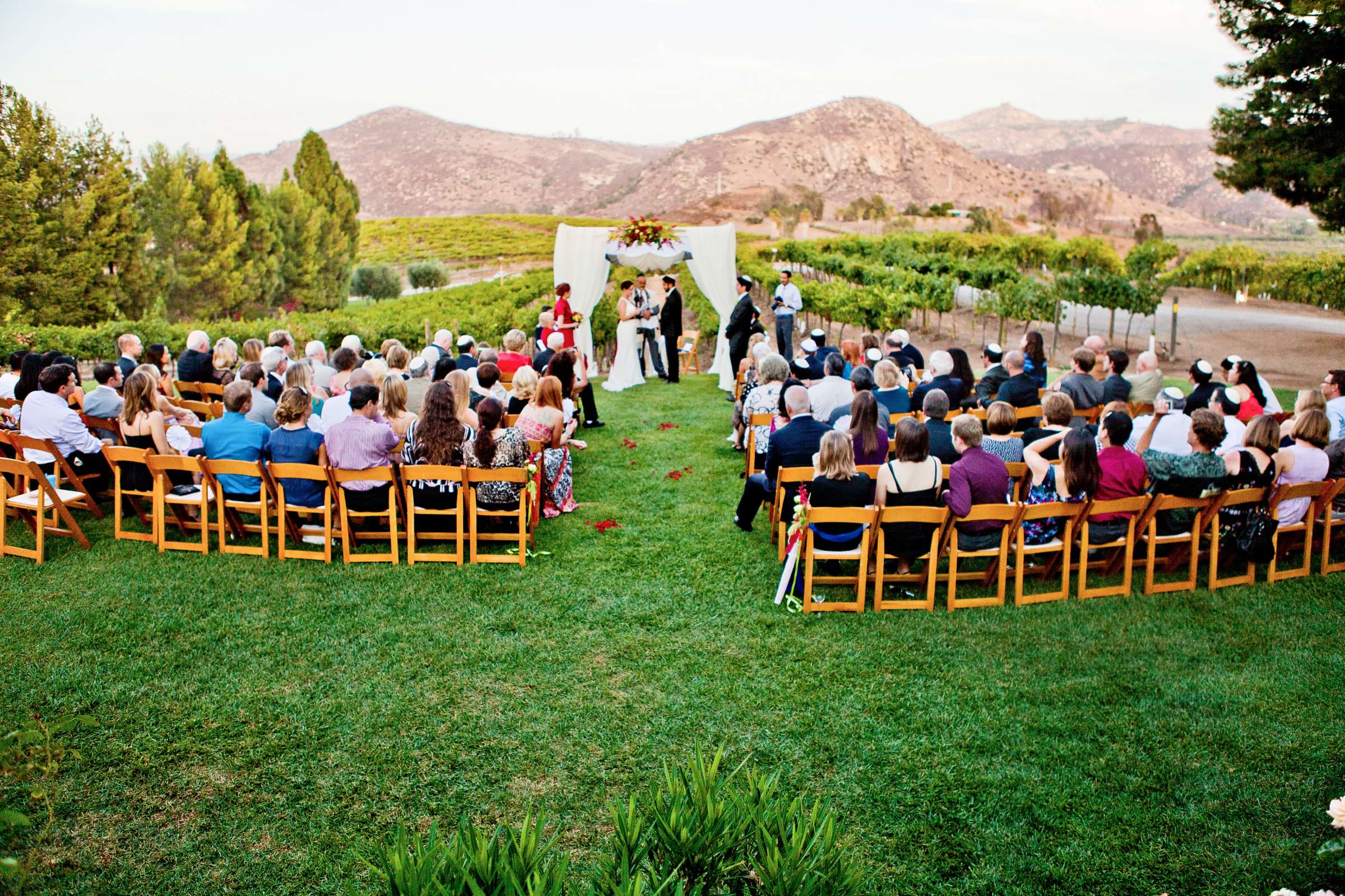 Orfila Vineyards Wedding, Stephanie and Sean Wedding Photo #313744 by True Photography