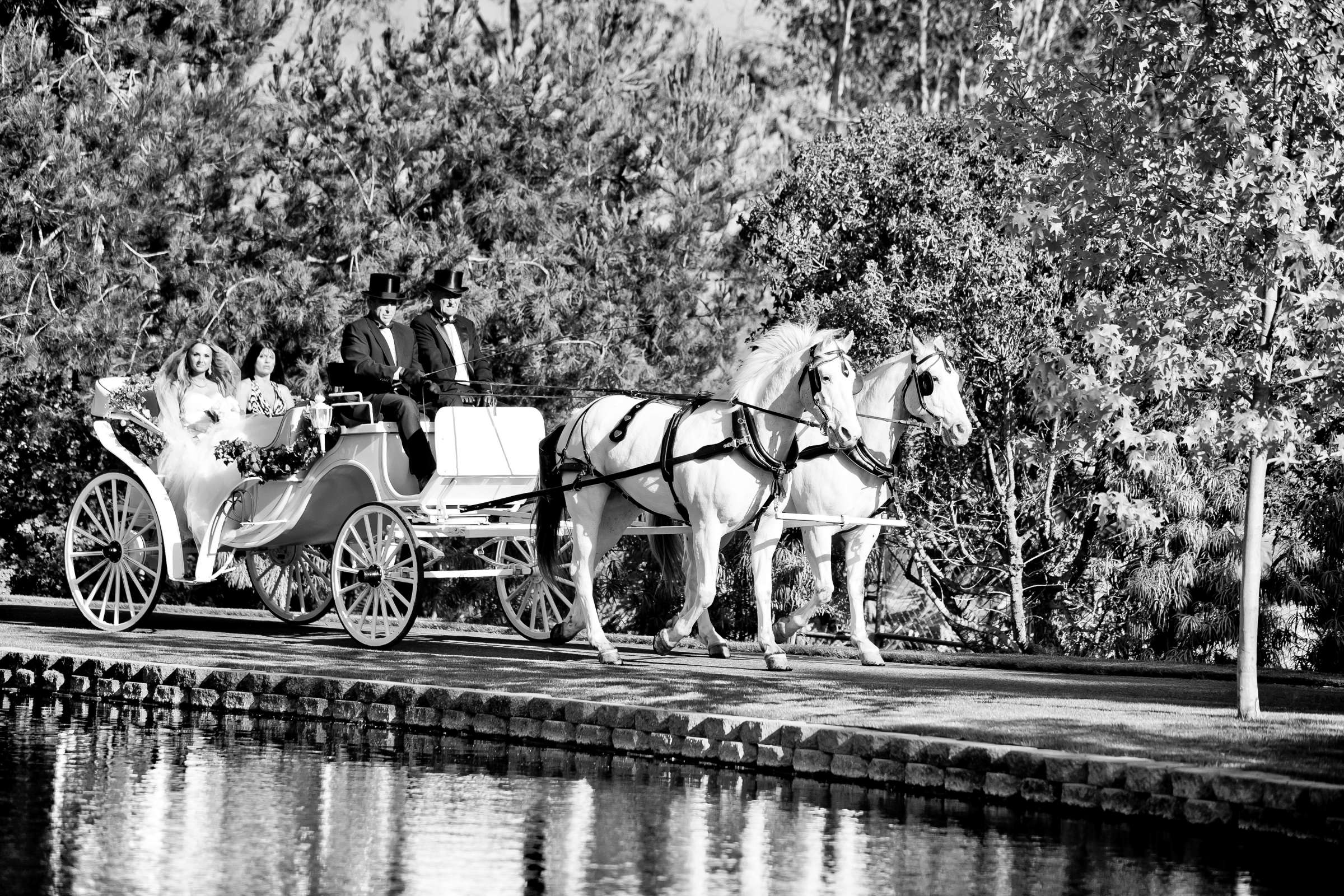 Grand Tradition Estate Wedding, Jelena and Igor Wedding Photo #314218 by True Photography