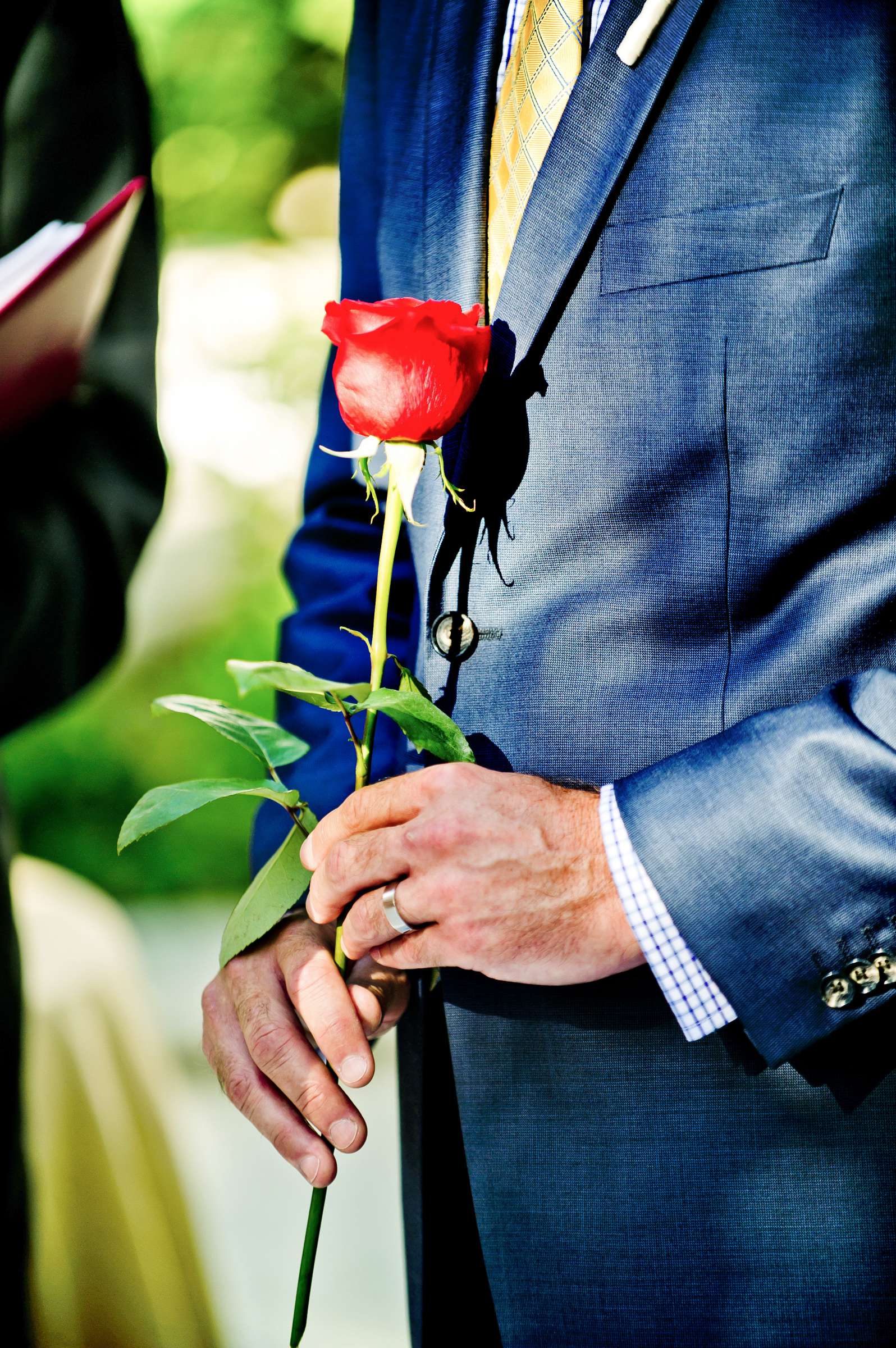 Wedding, Christina and Olivier Wedding Photo #314347 by True Photography