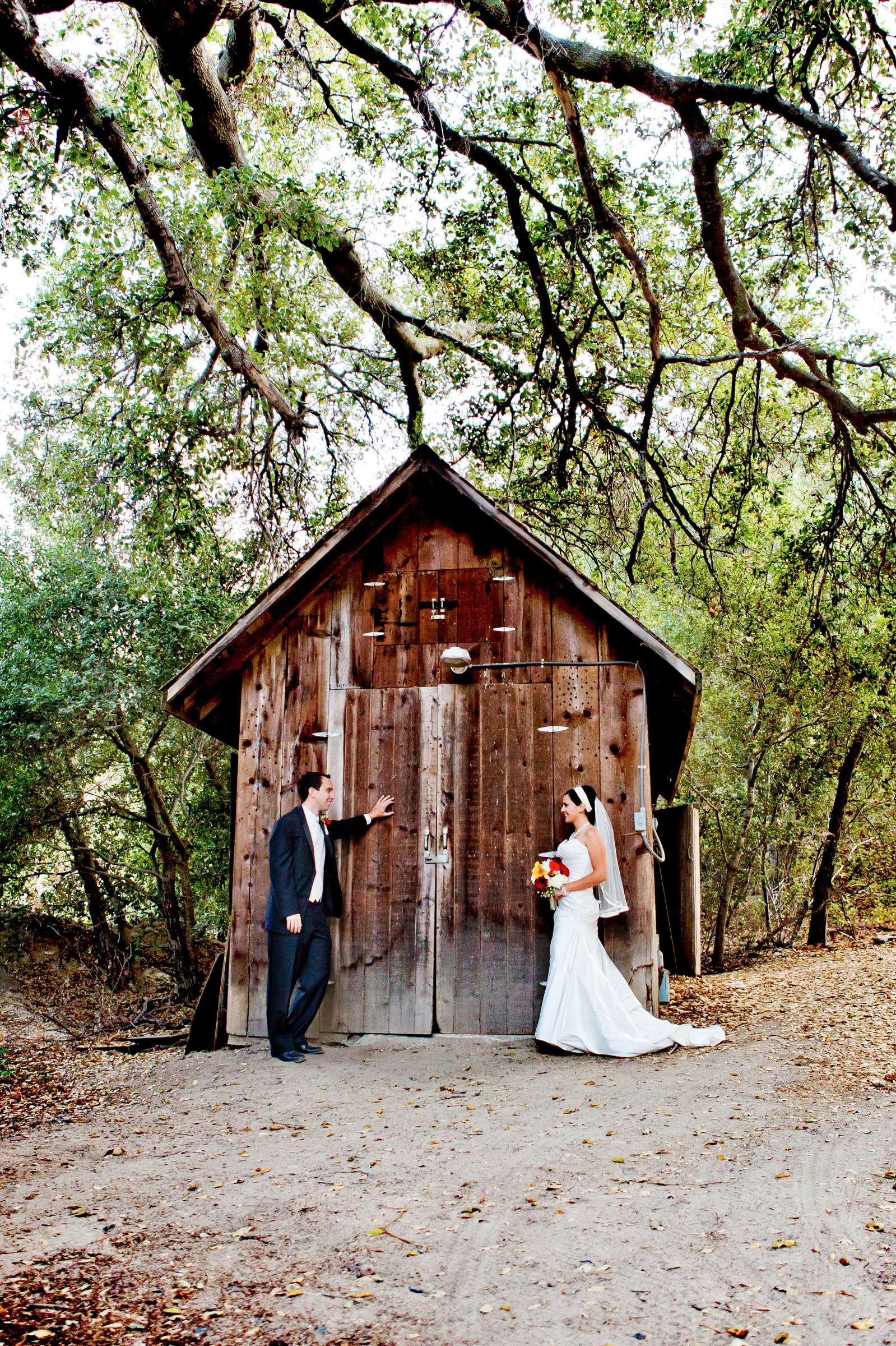 Wedding, Katie and Brian Wedding Photo #315532 by True Photography