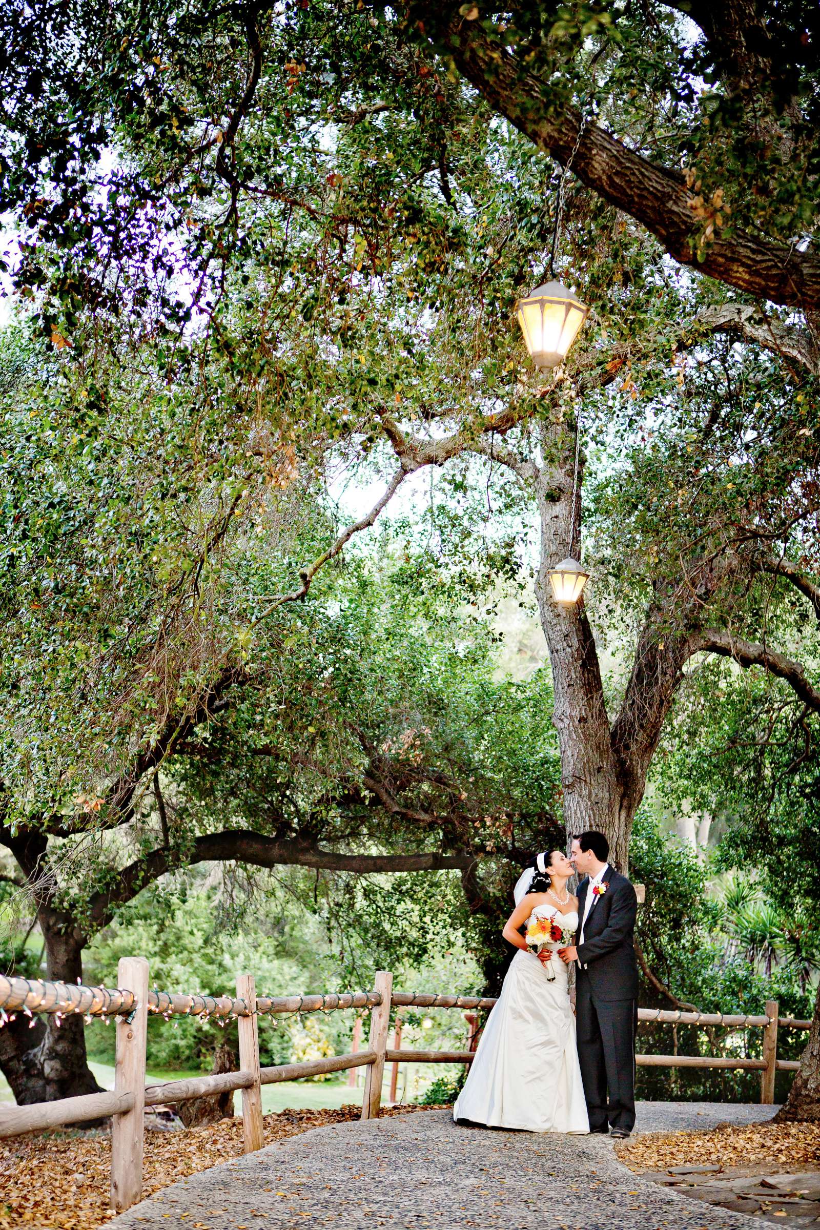 Wedding, Katie and Brian Wedding Photo #315535 by True Photography