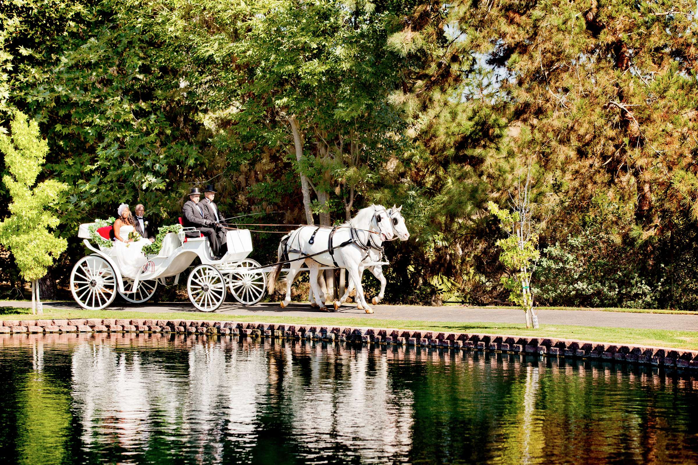 Grand Tradition Estate Wedding coordinated by Grand Tradition Estate, Tiffany and Dwain Wedding Photo #317507 by True Photography