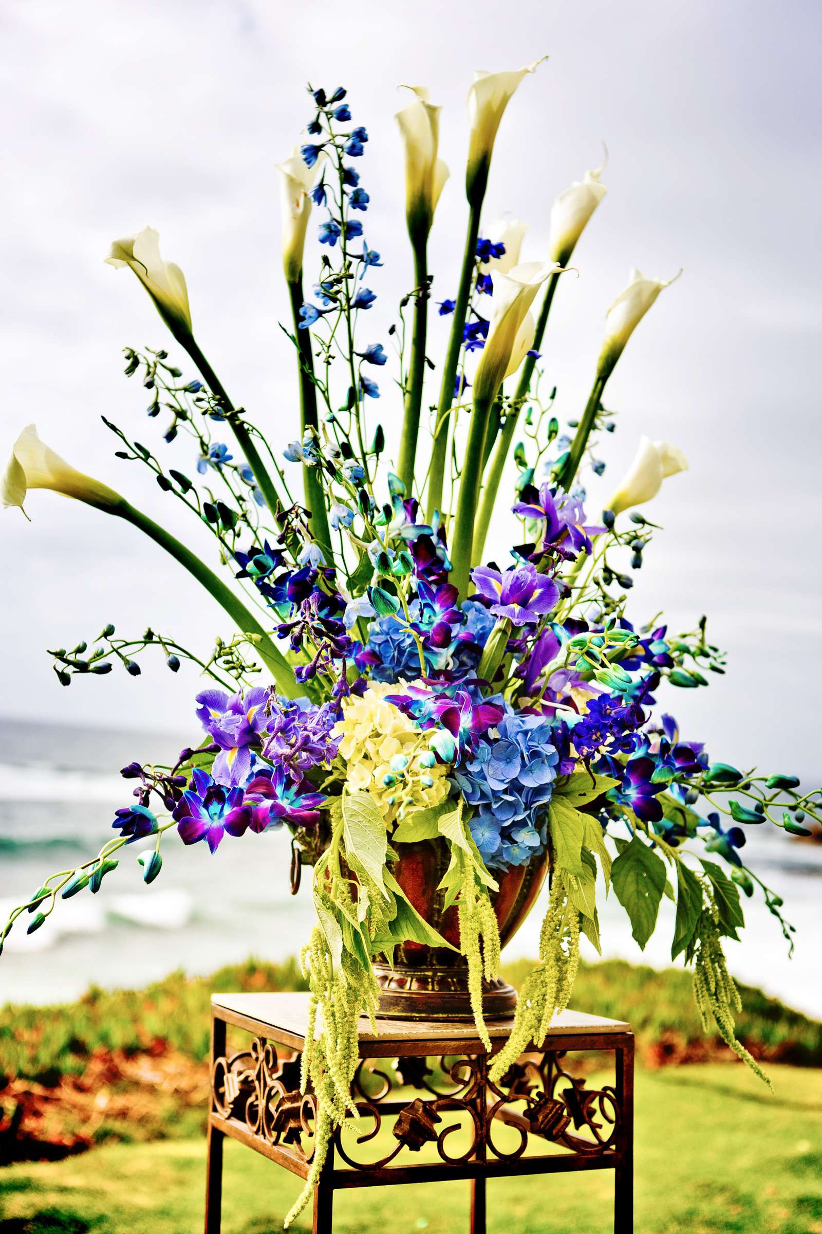 Cuvier Park-The Wedding Bowl Wedding, Meghan and Michael Wedding Photo #317546 by True Photography