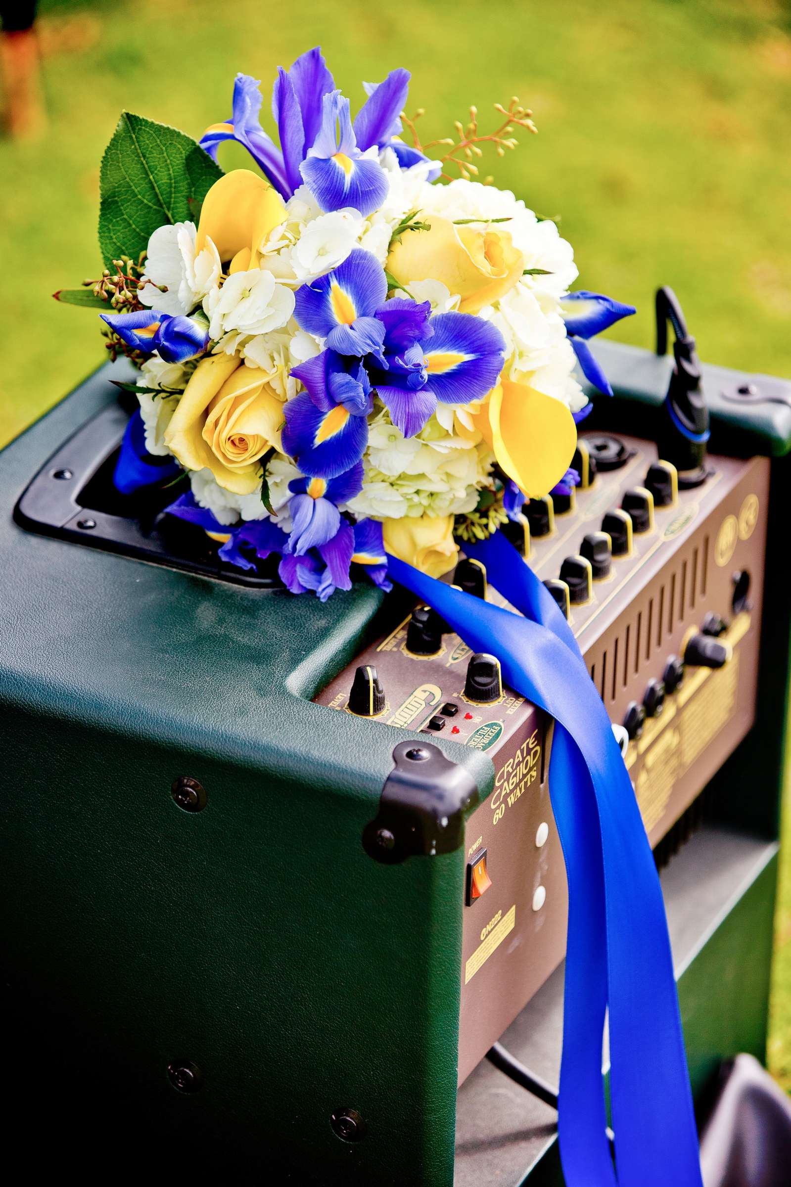 Cuvier Park-The Wedding Bowl Wedding, Meghan and Michael Wedding Photo #317557 by True Photography