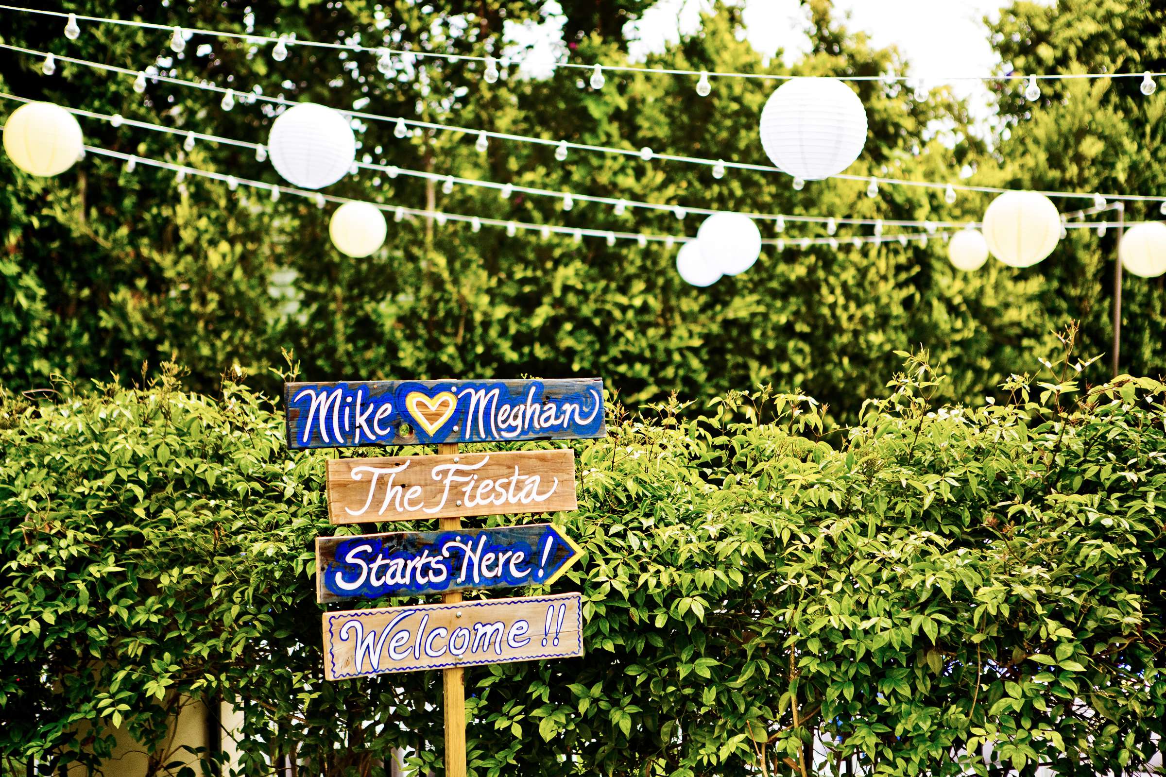 Cuvier Park-The Wedding Bowl Wedding, Meghan and Michael Wedding Photo #317683 by True Photography