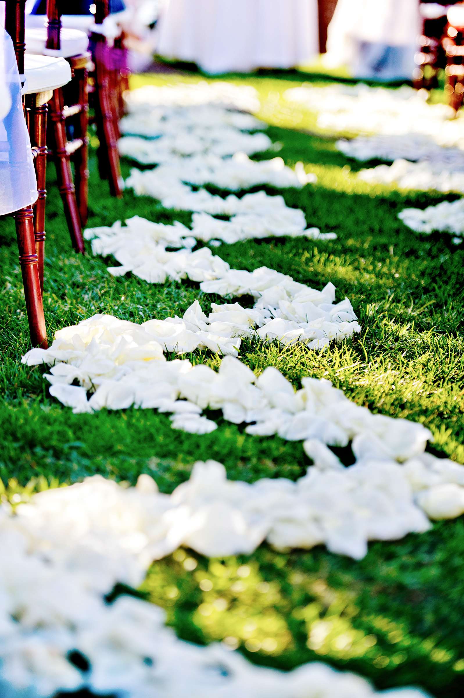 Wedding, Jennifer and Chris Wedding Photo #317961 by True Photography