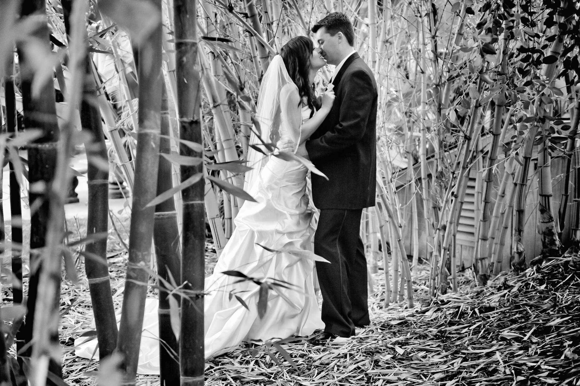 Grand Tradition Estate Wedding, Sharlene and Tony Wedding Photo #319468 by True Photography