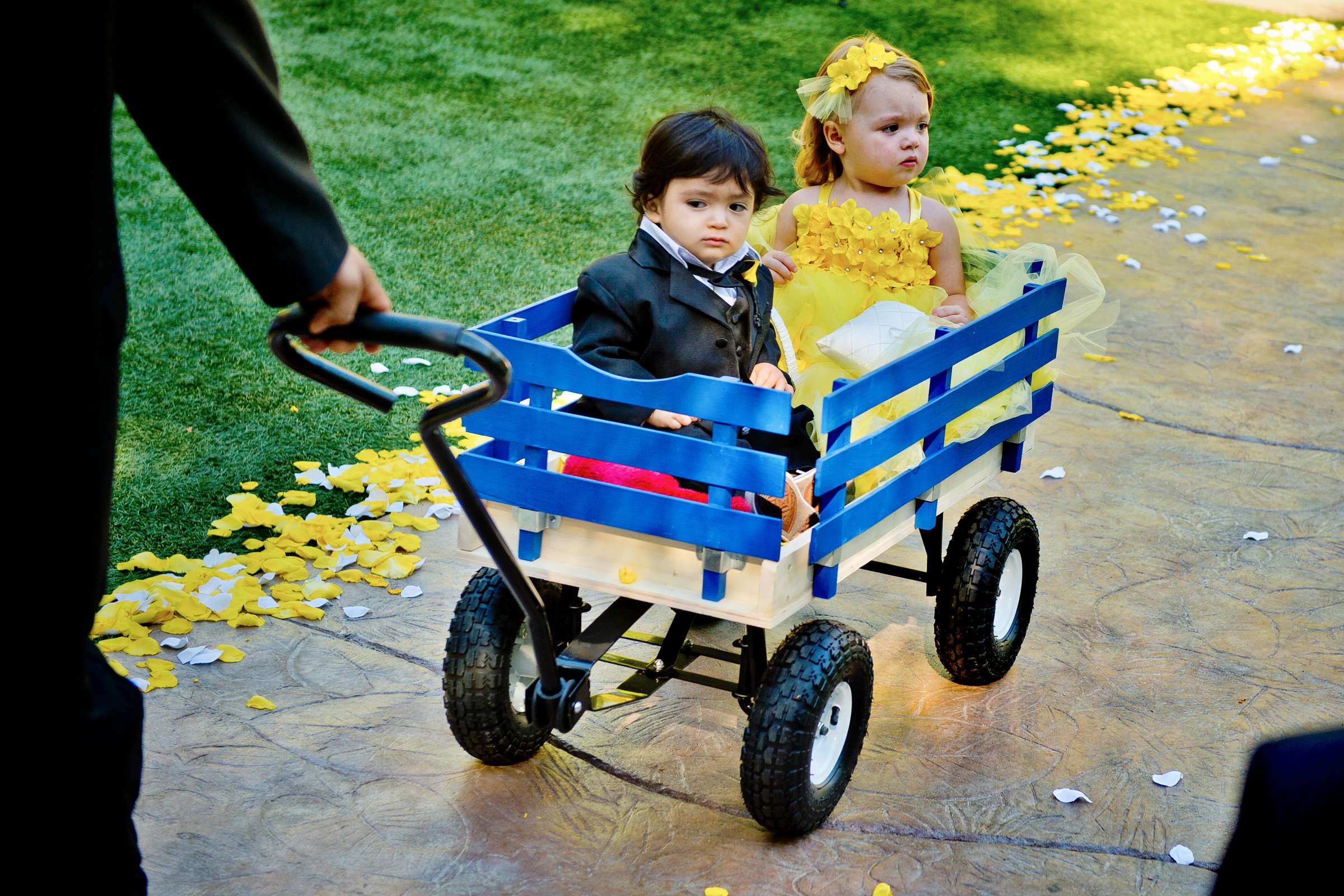 Grand Tradition Estate Wedding, Sharlene and Tony Wedding Photo #319484 by True Photography